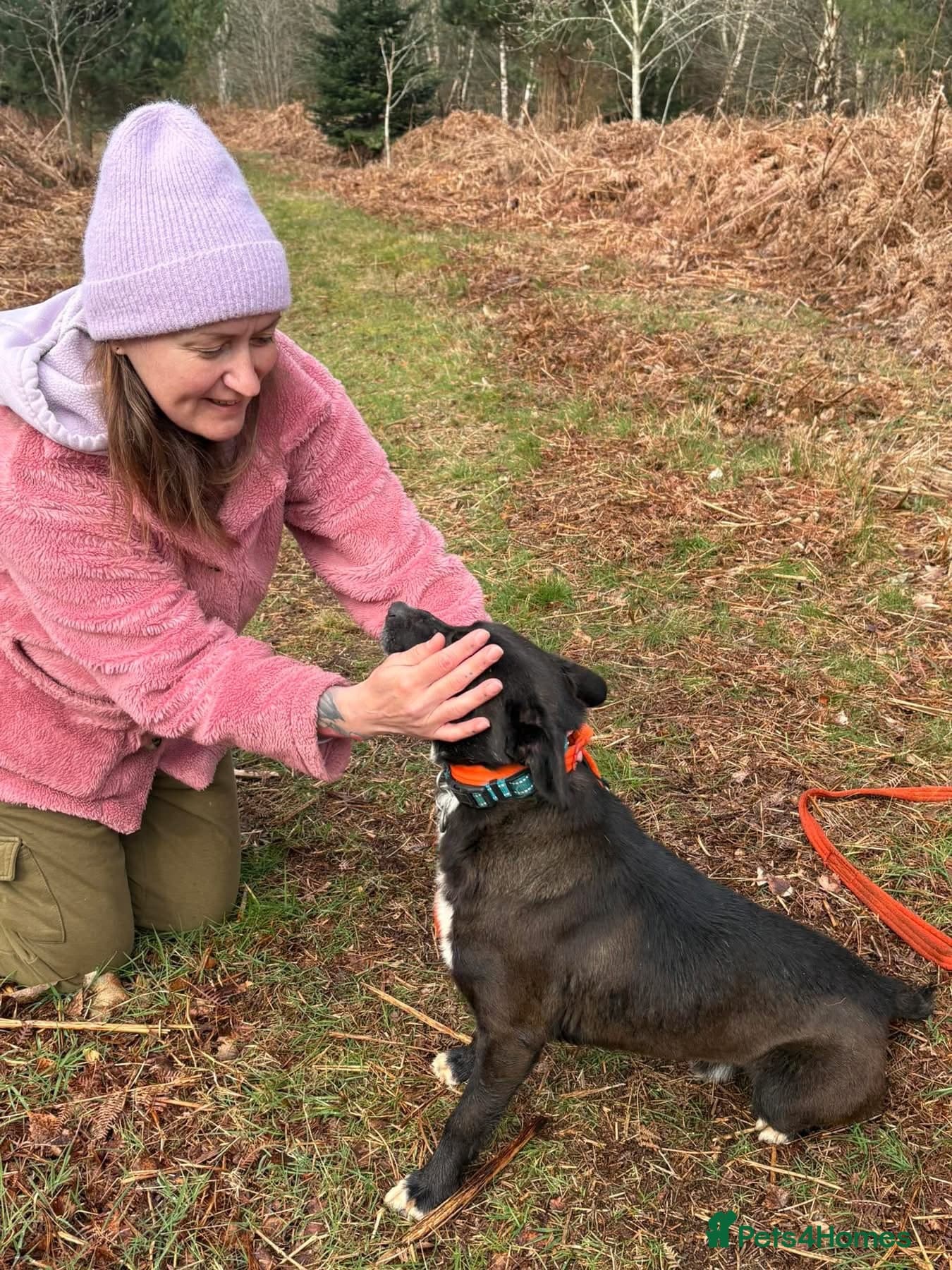 Penfold - Norwich Norfolk photo 10