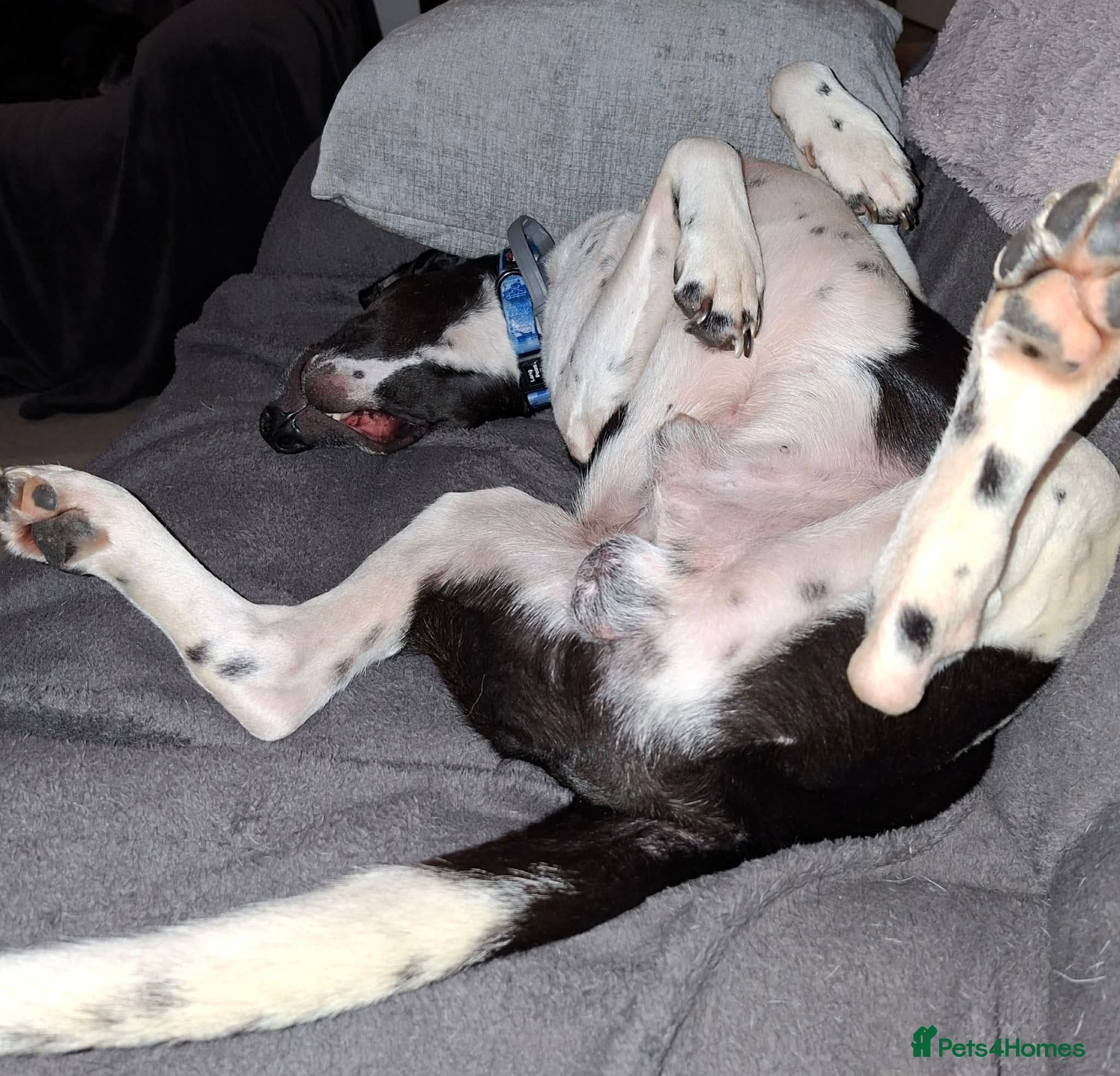 Stratos ! ❤️ a Cypriot sweetheart photo 3