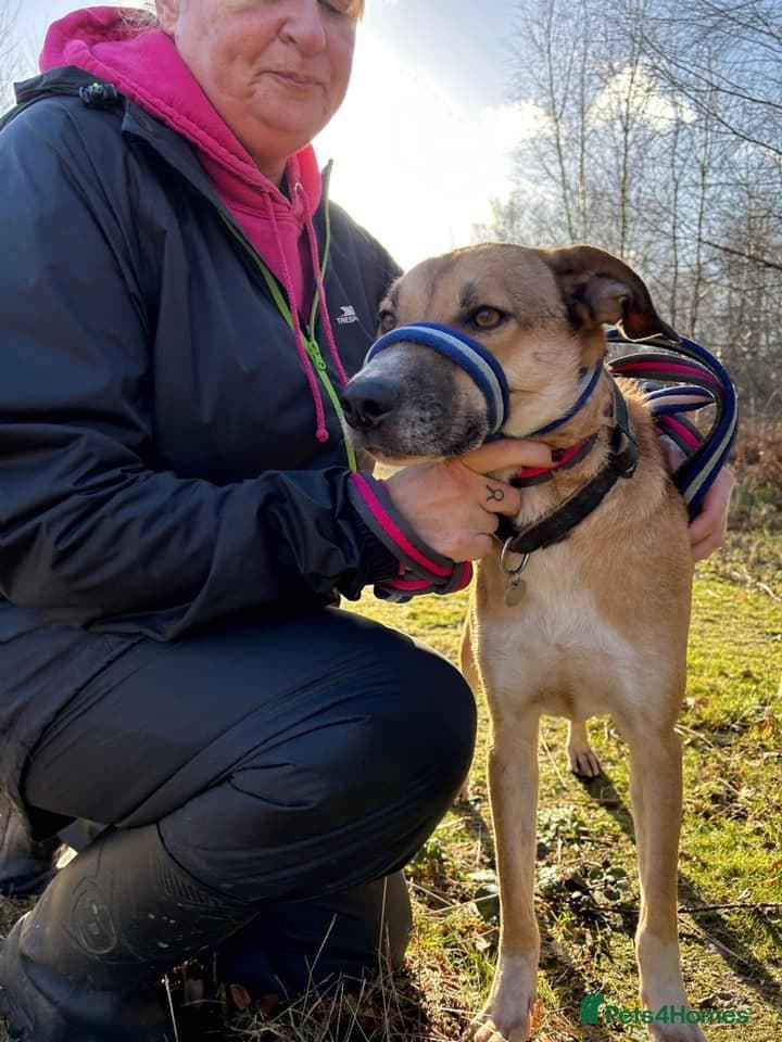 Sara - Norwich Norfolk photo 19