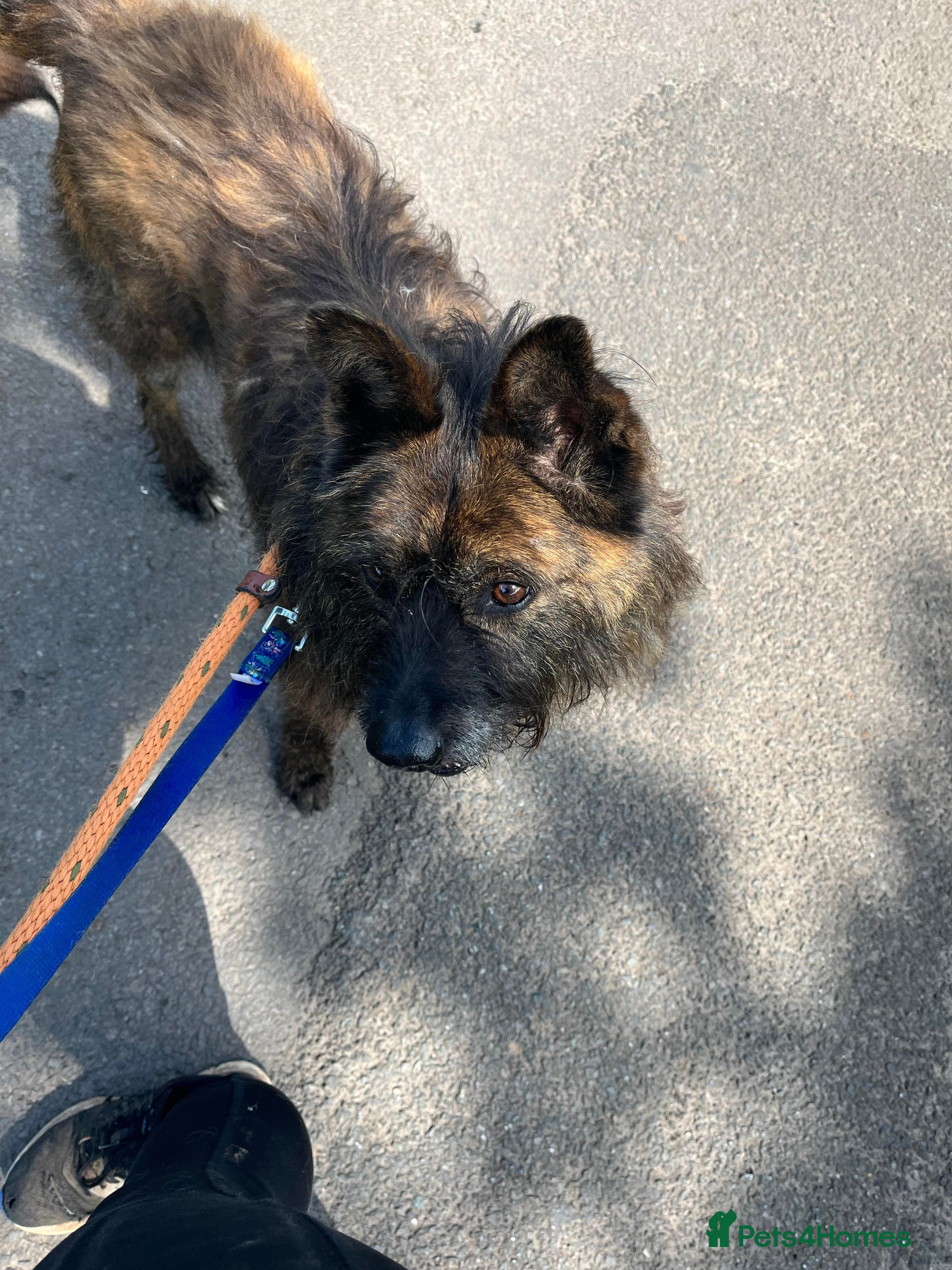 Meet Aran, currently residing in Cheshire photo 13