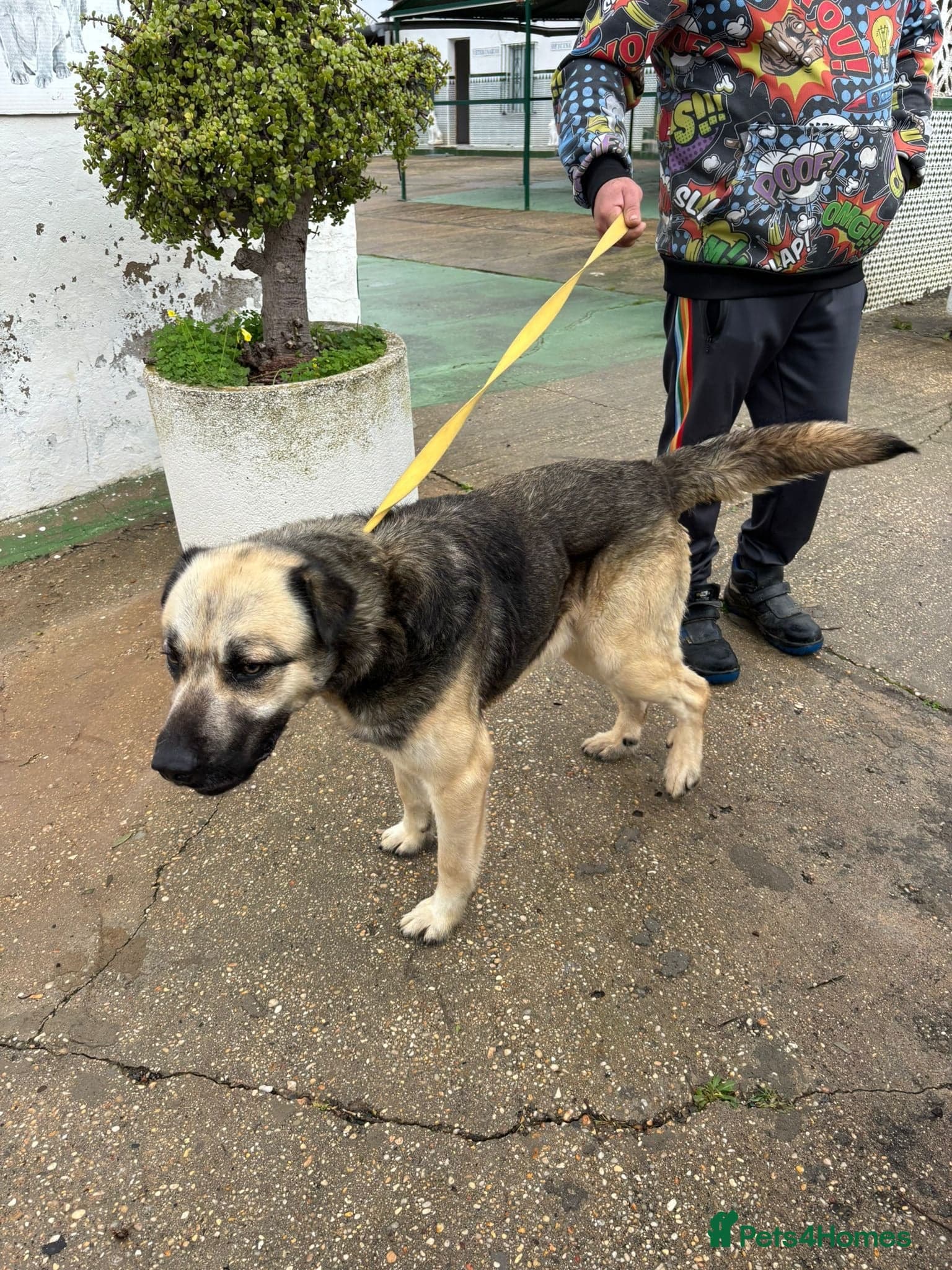 Titan❤️🐾 photo 5