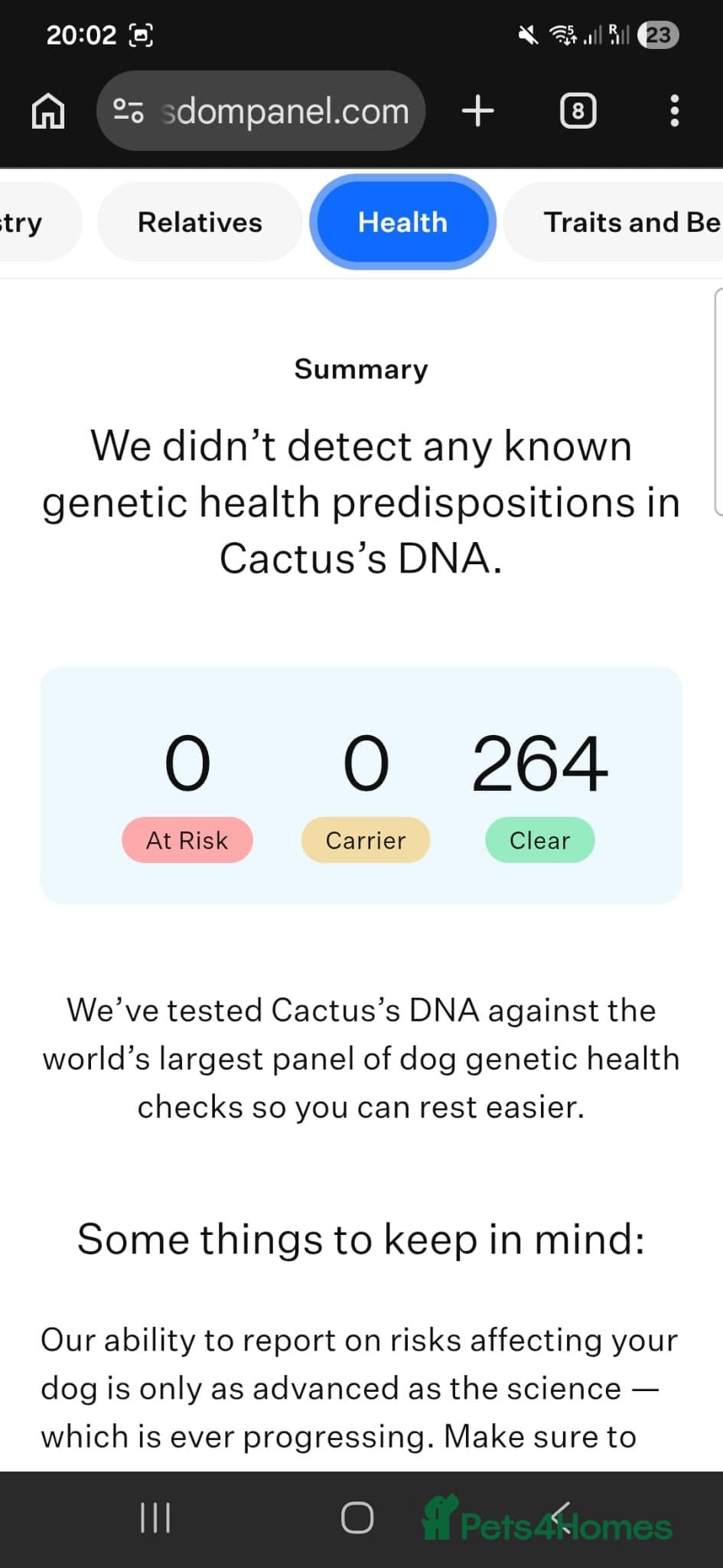 Cactus (yanik) photo 14