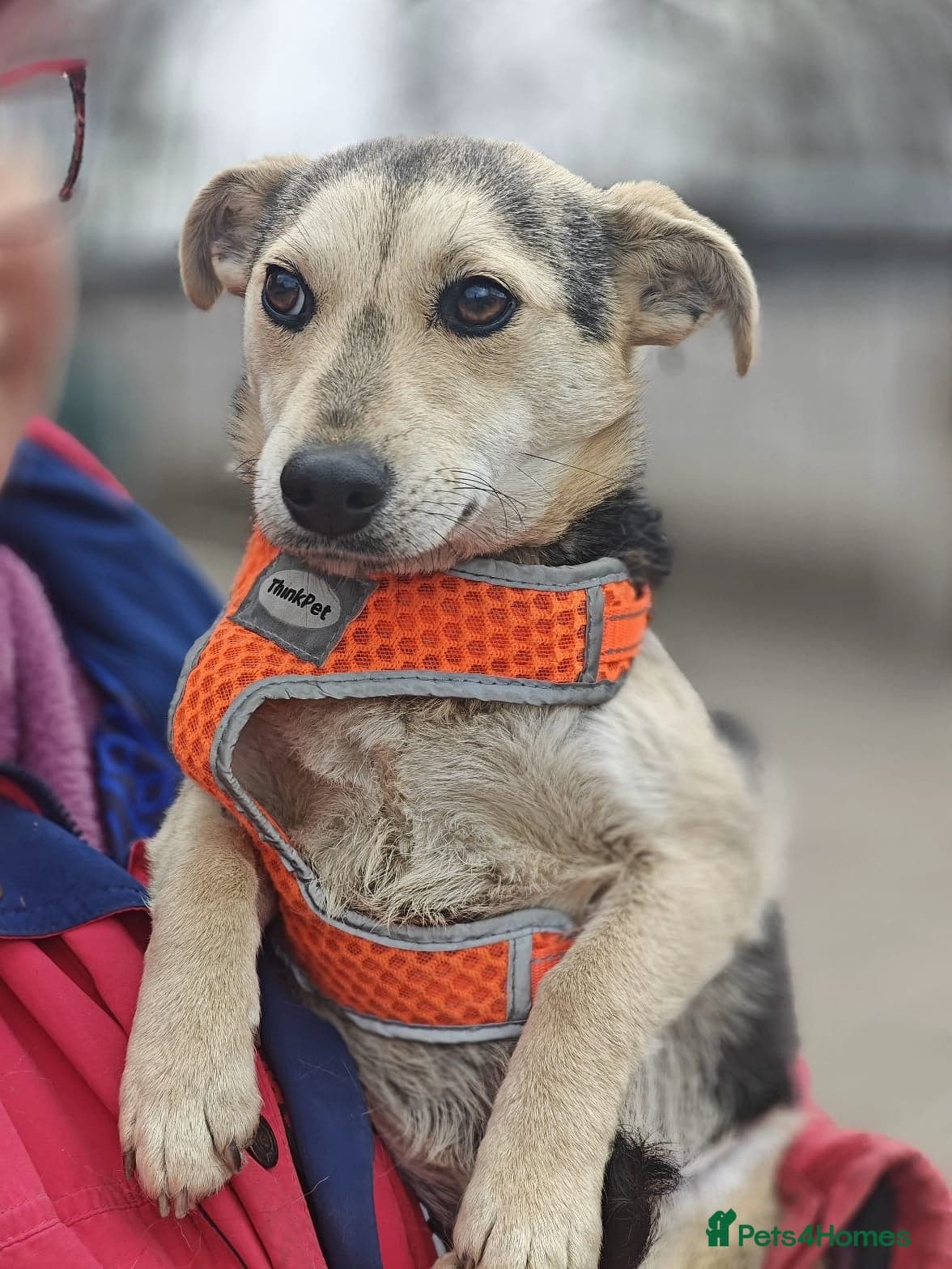 οΈπΆ maree photo 6