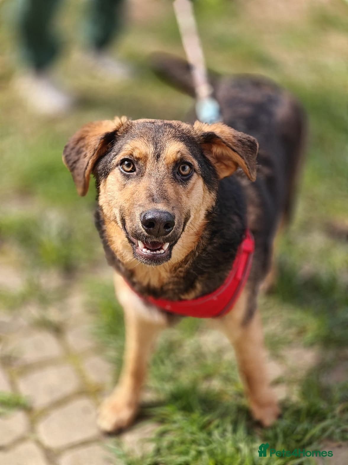 οΈπΆ yasia photo 11