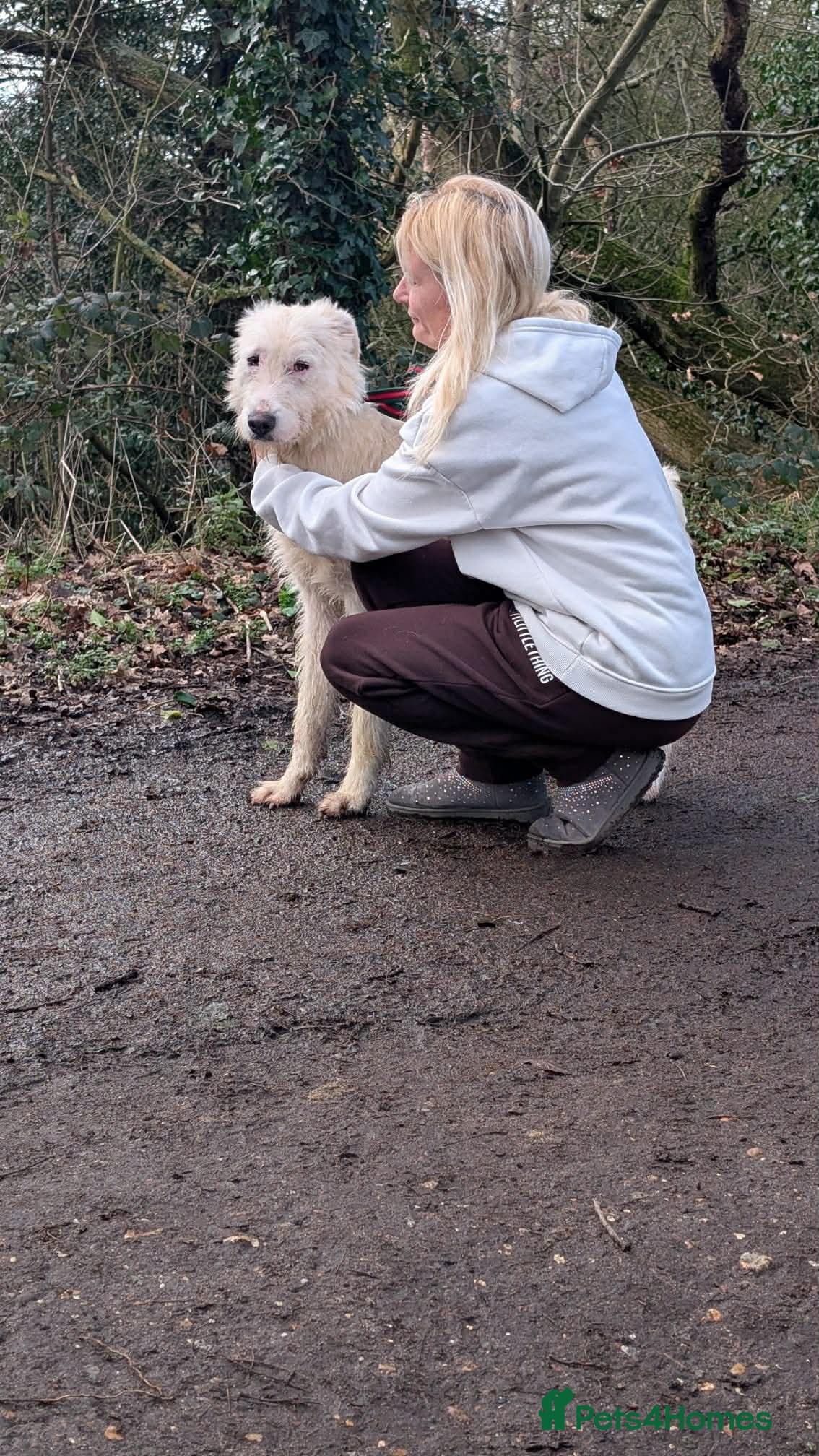 Peter - Norwich Norfolk photo 11