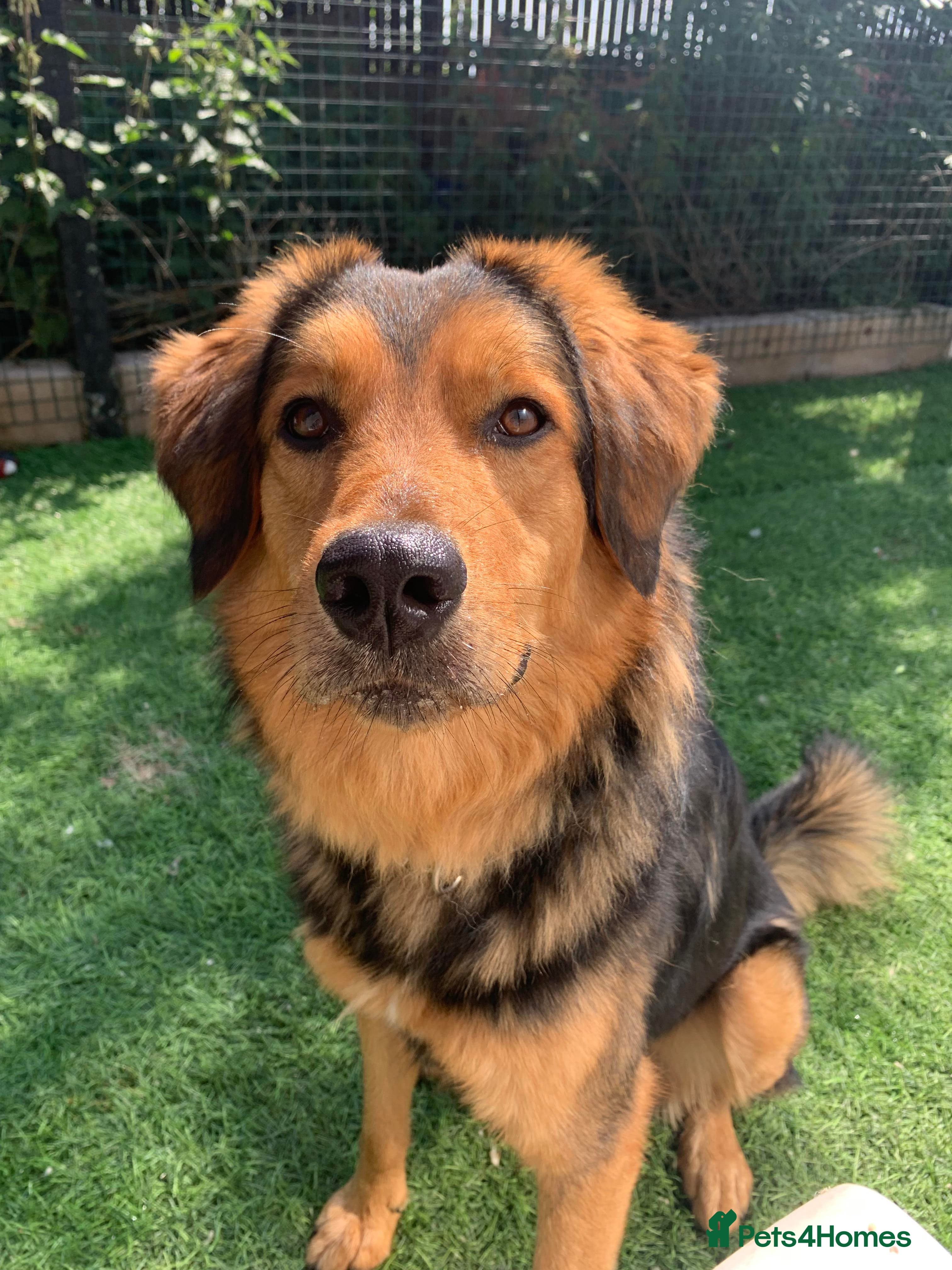 Meet Derry, currently residing in Cheshire photo 2