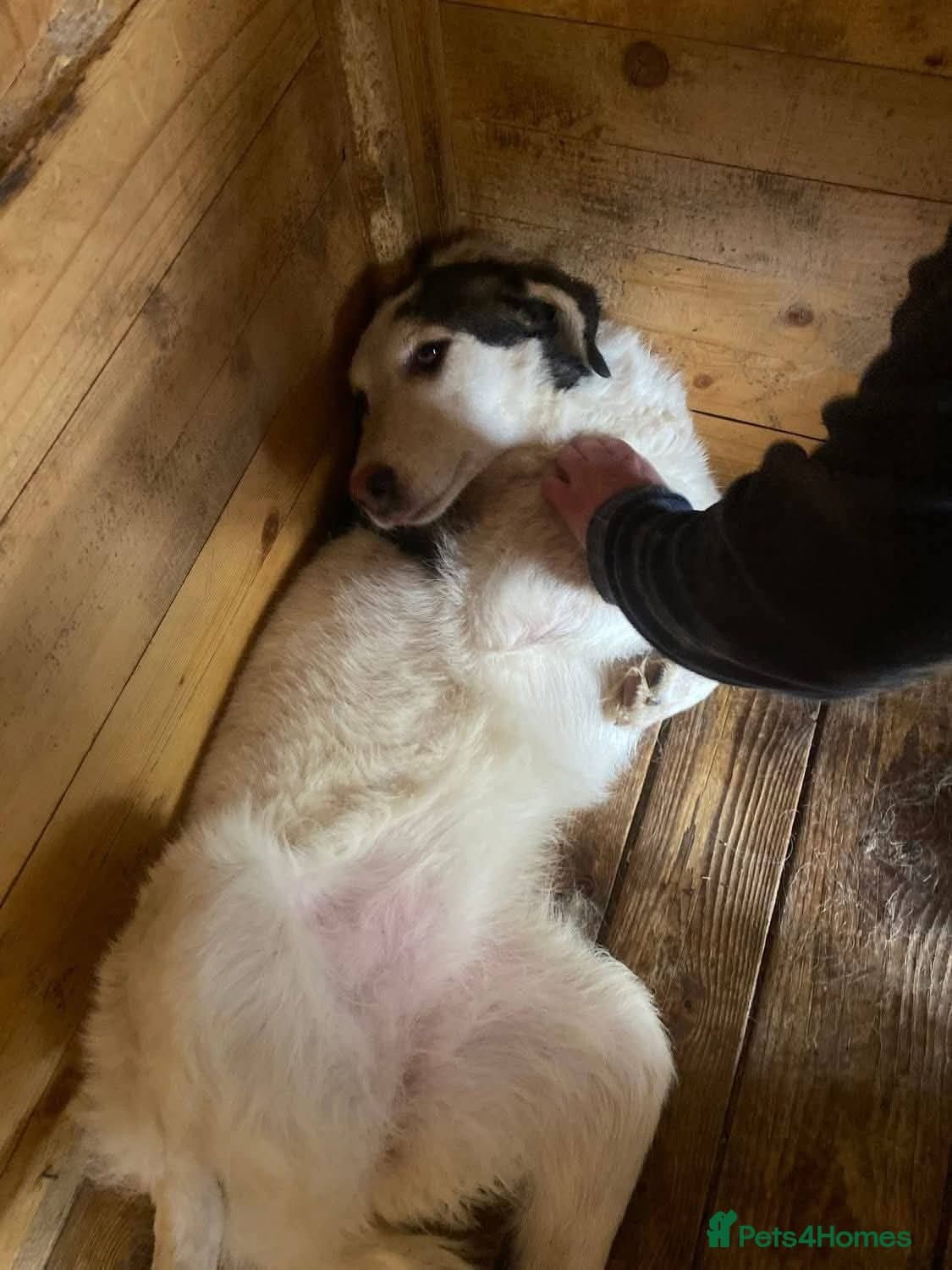 Meet Demi, currently residing in Essex photo 9