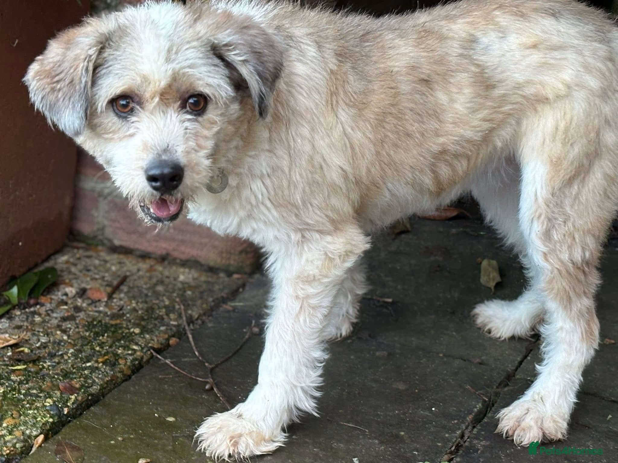 Kim - Norwich Norfolk photo 9