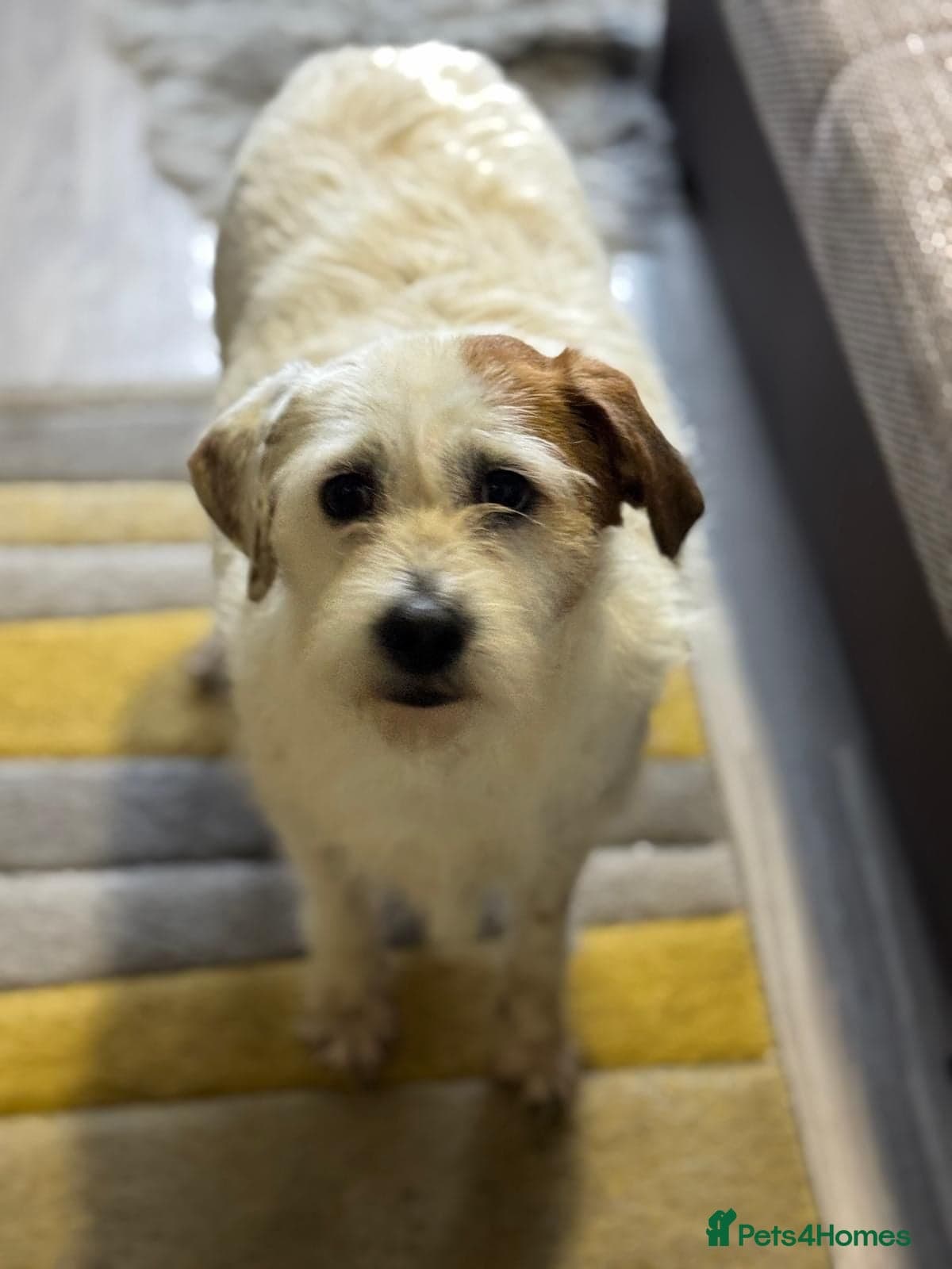 Cute girl Pepsi photo 13