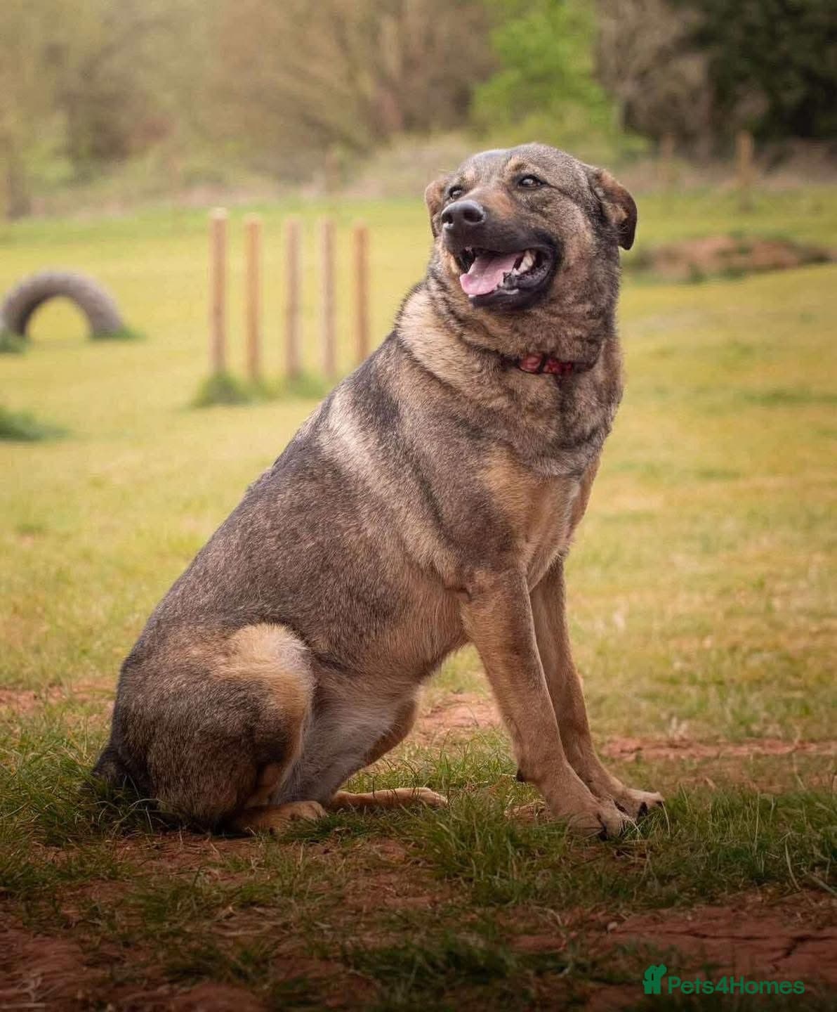 Luna πΎπ photo 20