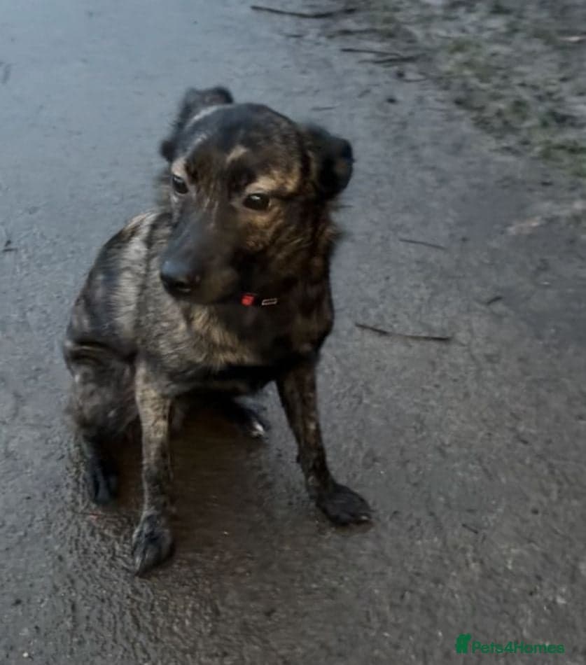 Urgent: ๐milo๐ photo 4