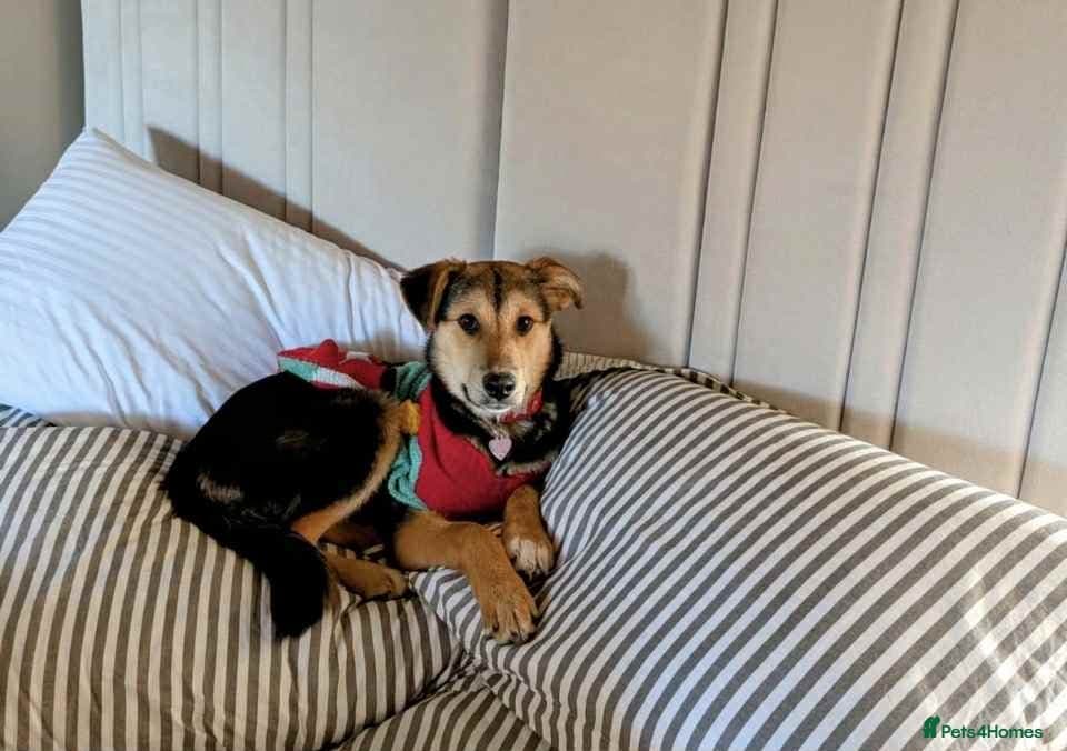 Mikka says “is it me you’re photo 2