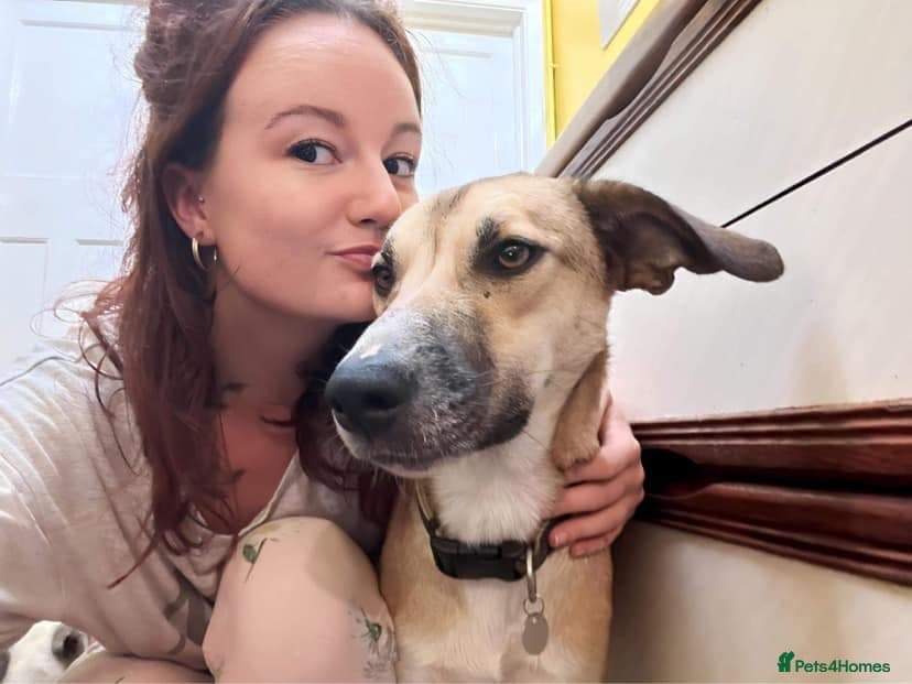 Sara - Norwich Norfolk photo 23