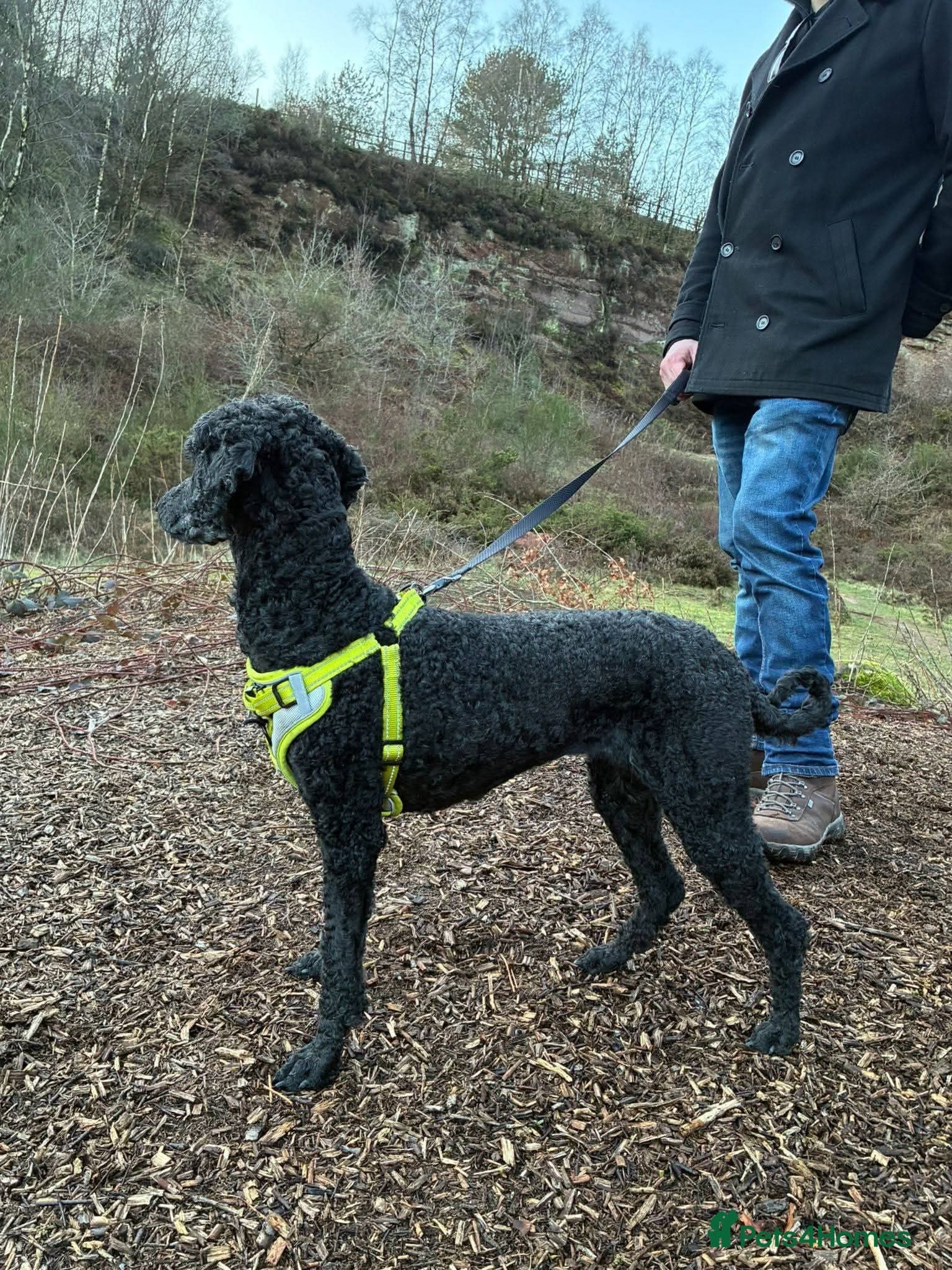 οΈπΆ charlie photo 7