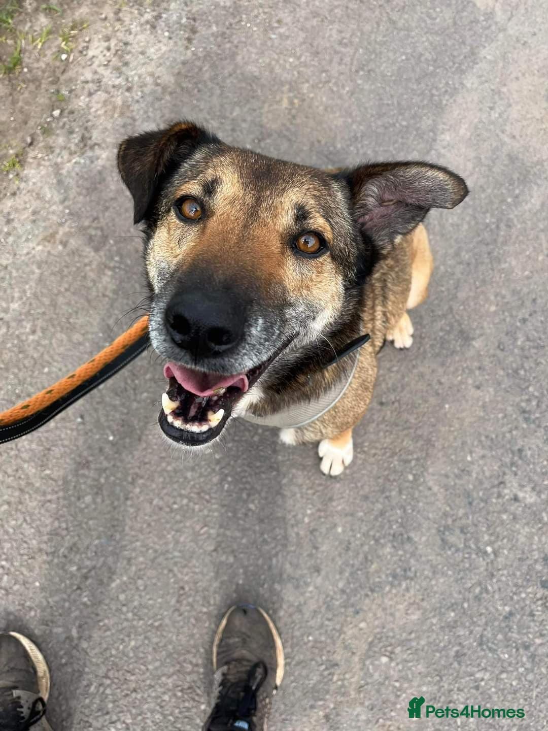 Meet Faith, currently residing in Cheshire photo 9