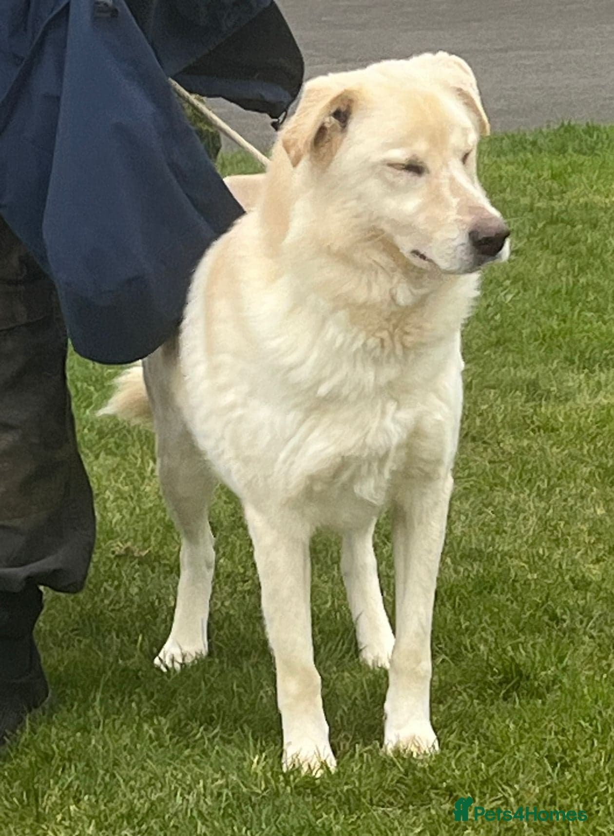 Stunning Apolo photo 5