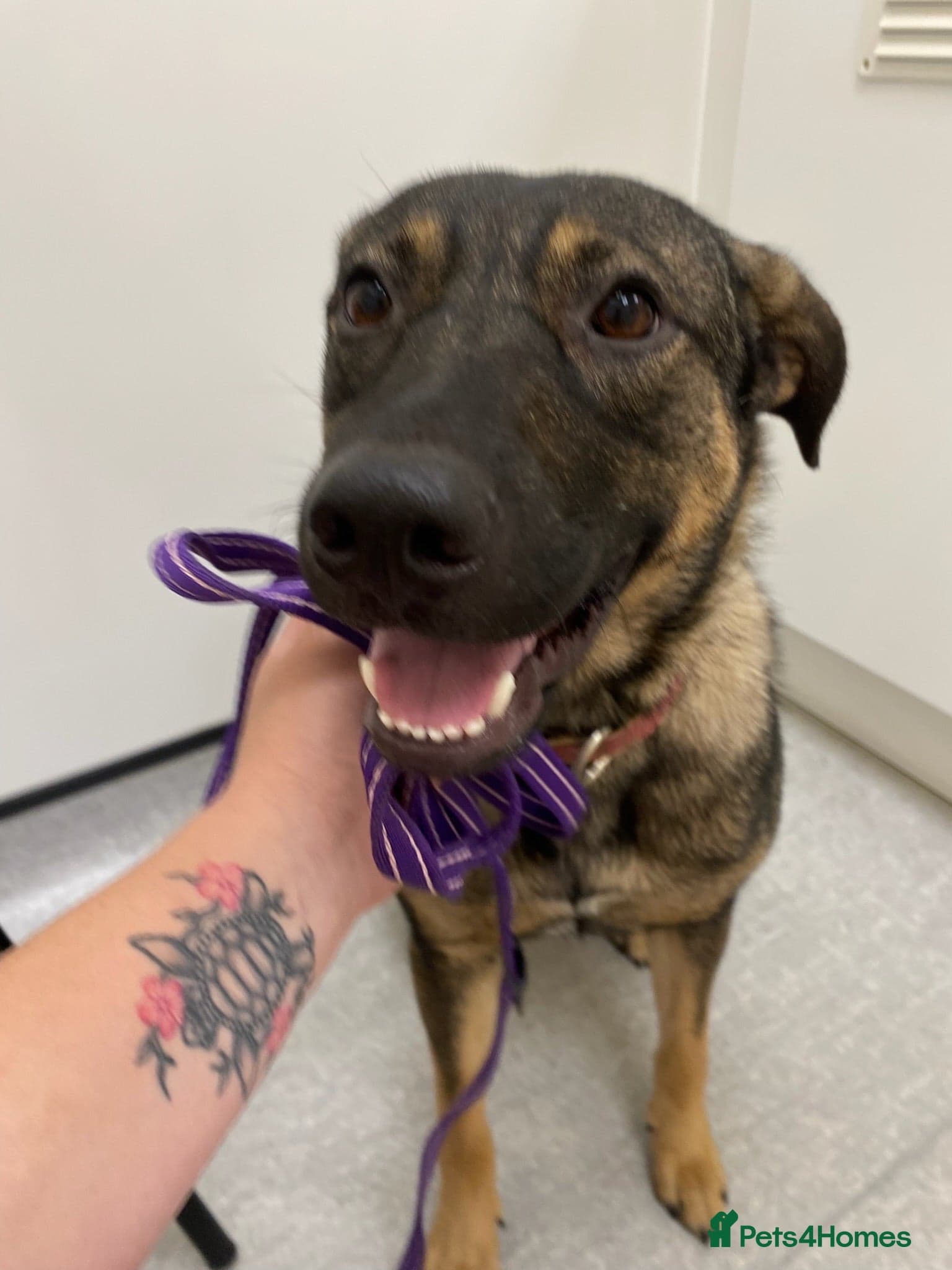 Luna πΎπ photo 11