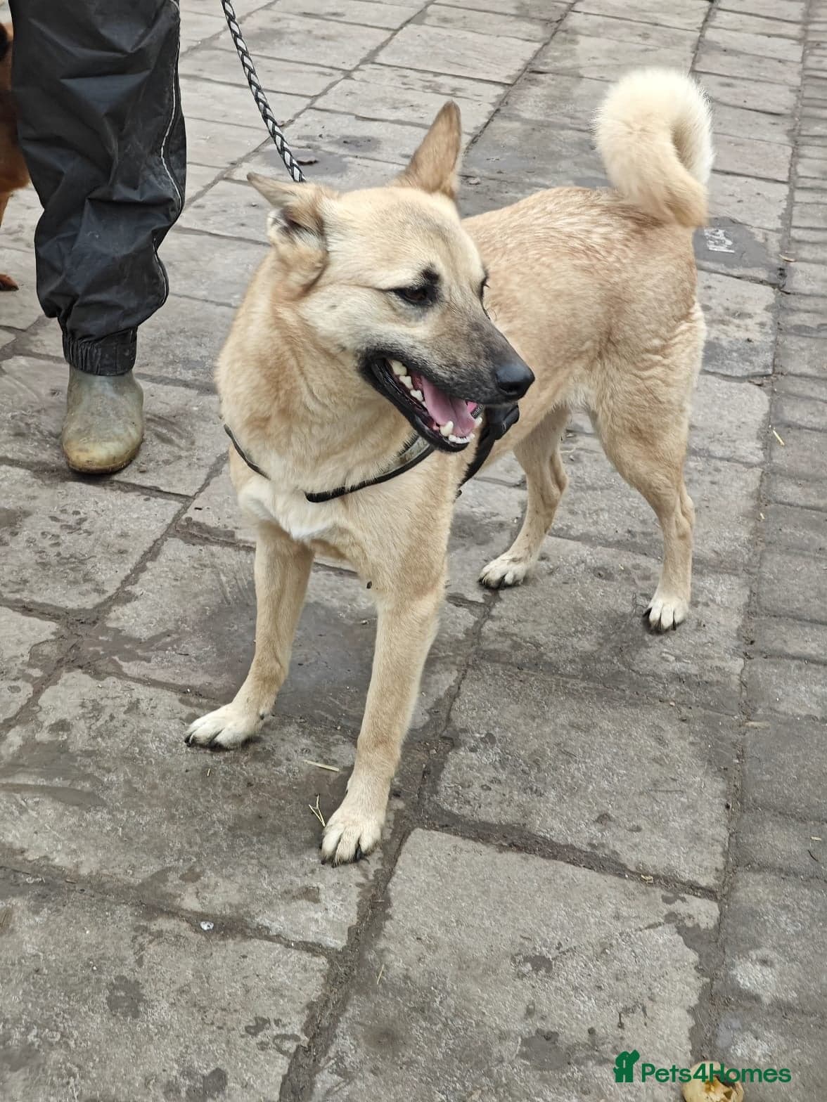 ๏ธ๐ถ stacy photo 24