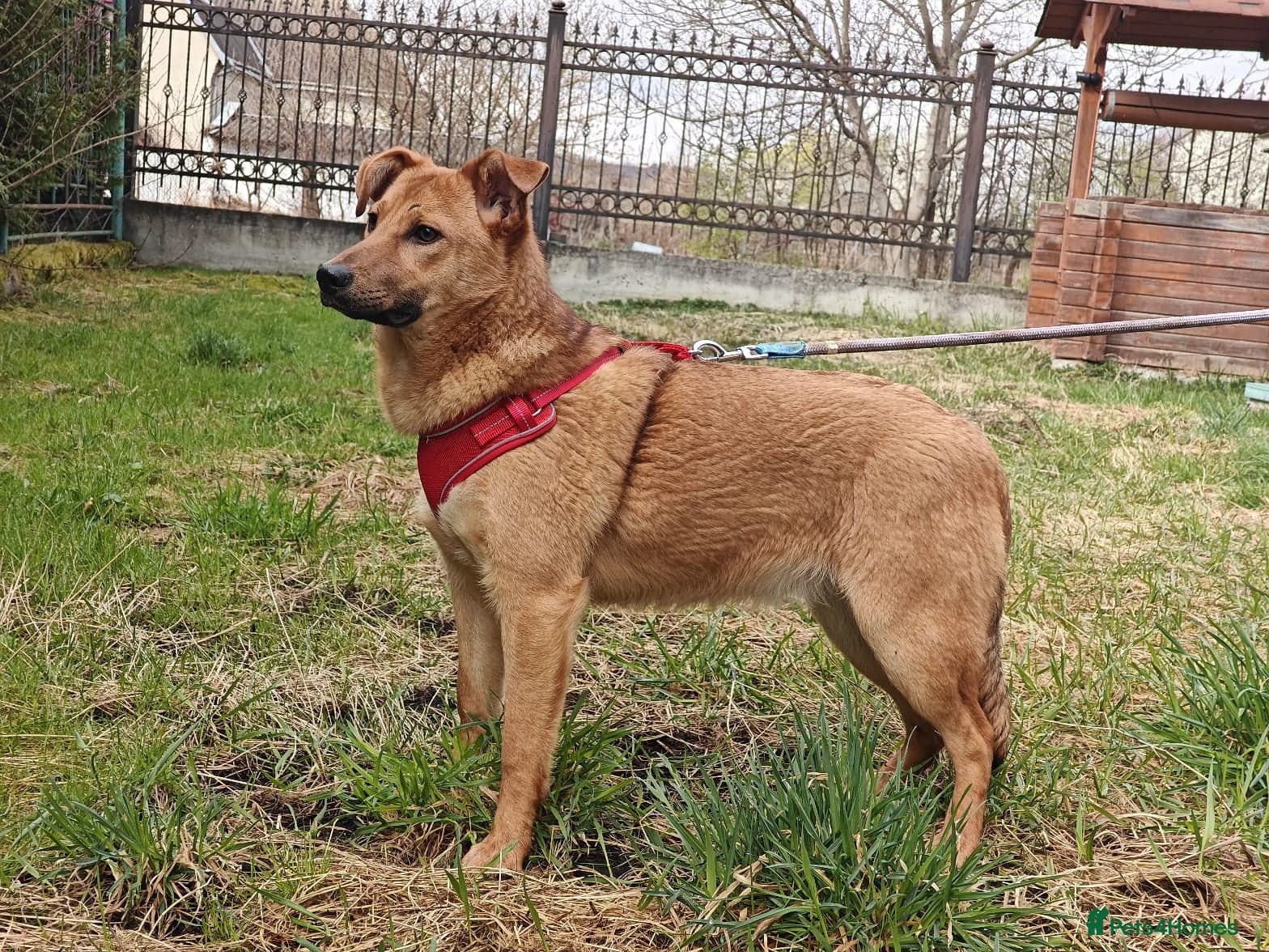 ๏ธ๐ถ yara photo 9