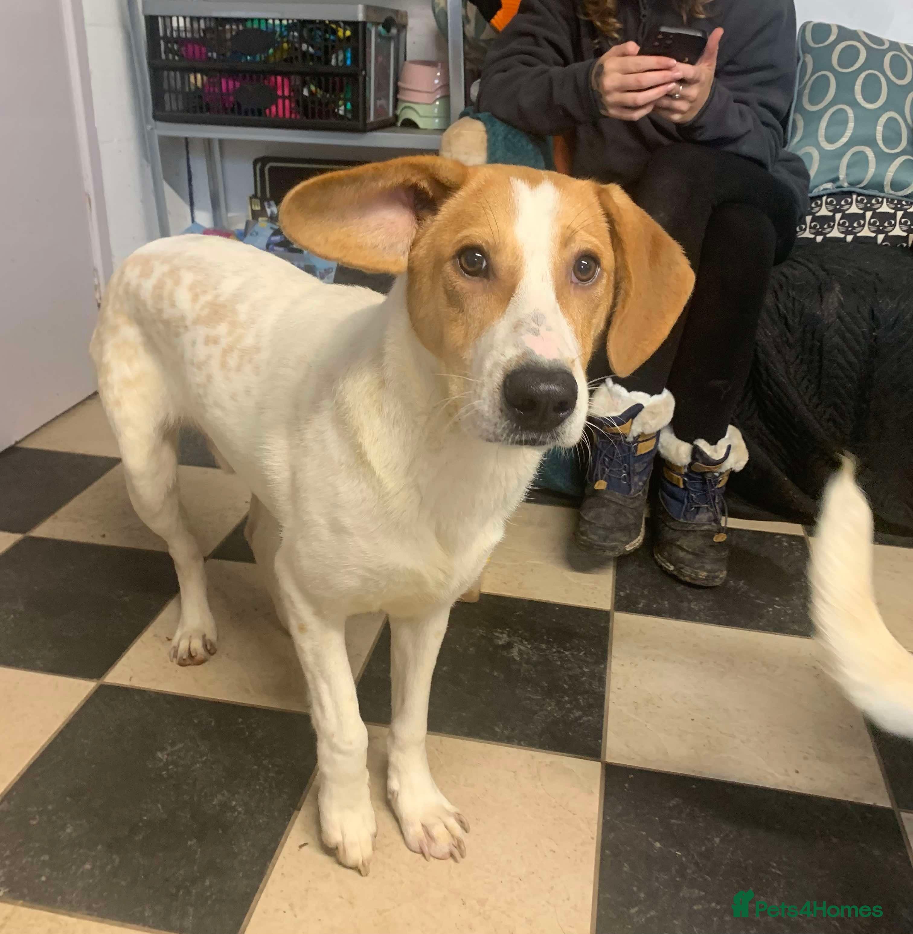 Meet Jordan, currently residing in Cheshire photo 6