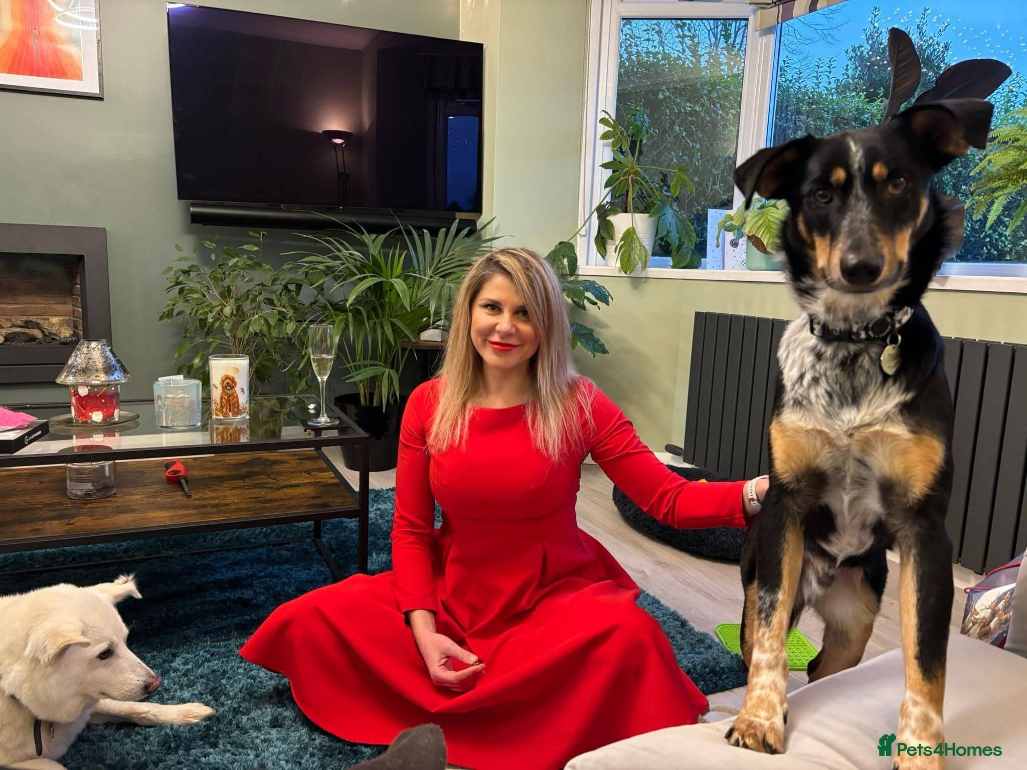 Meet Dave, currently residing in Aberdeen photo 14