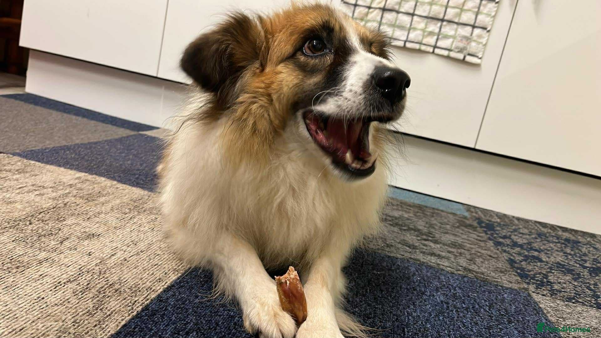 Jessie ❤️ photo 13