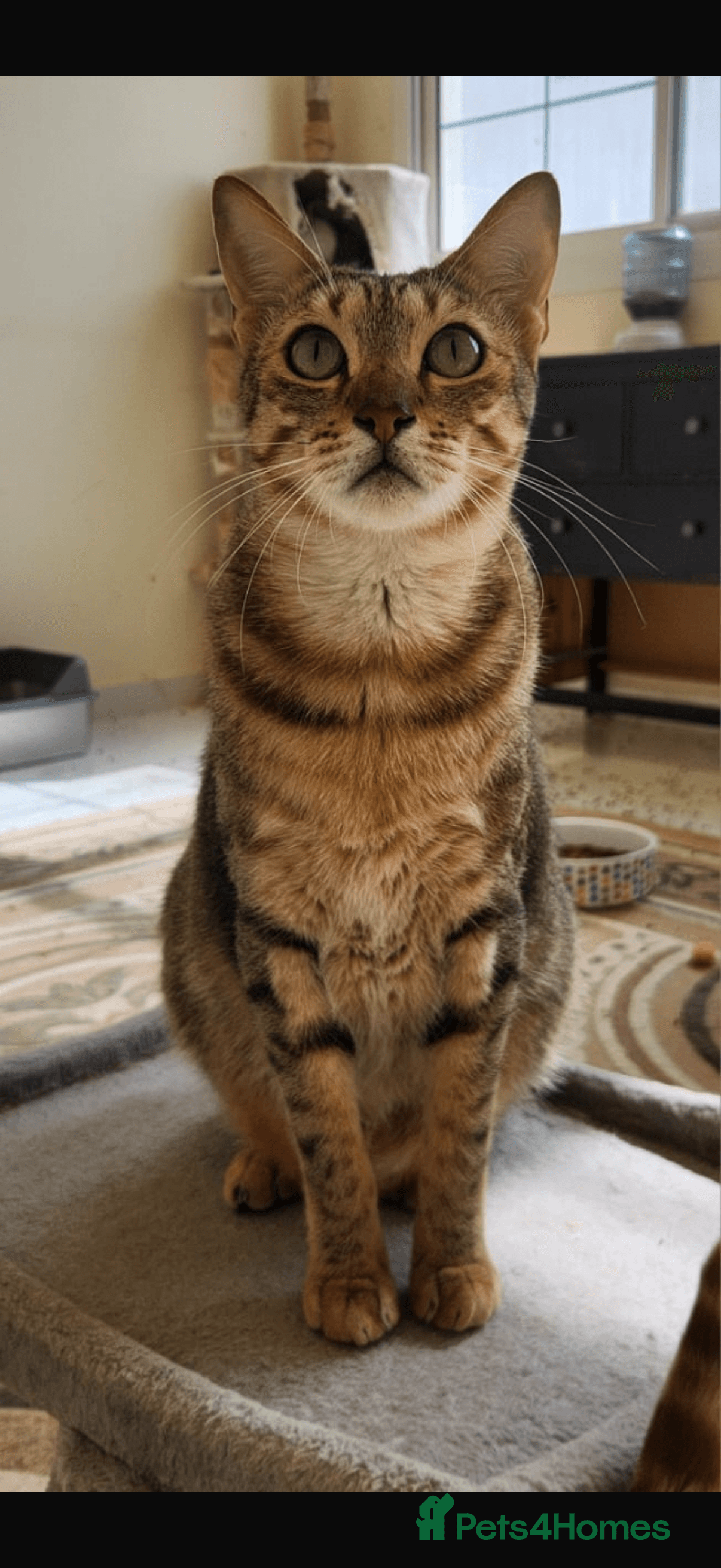 Bubby & Timmy photo 4