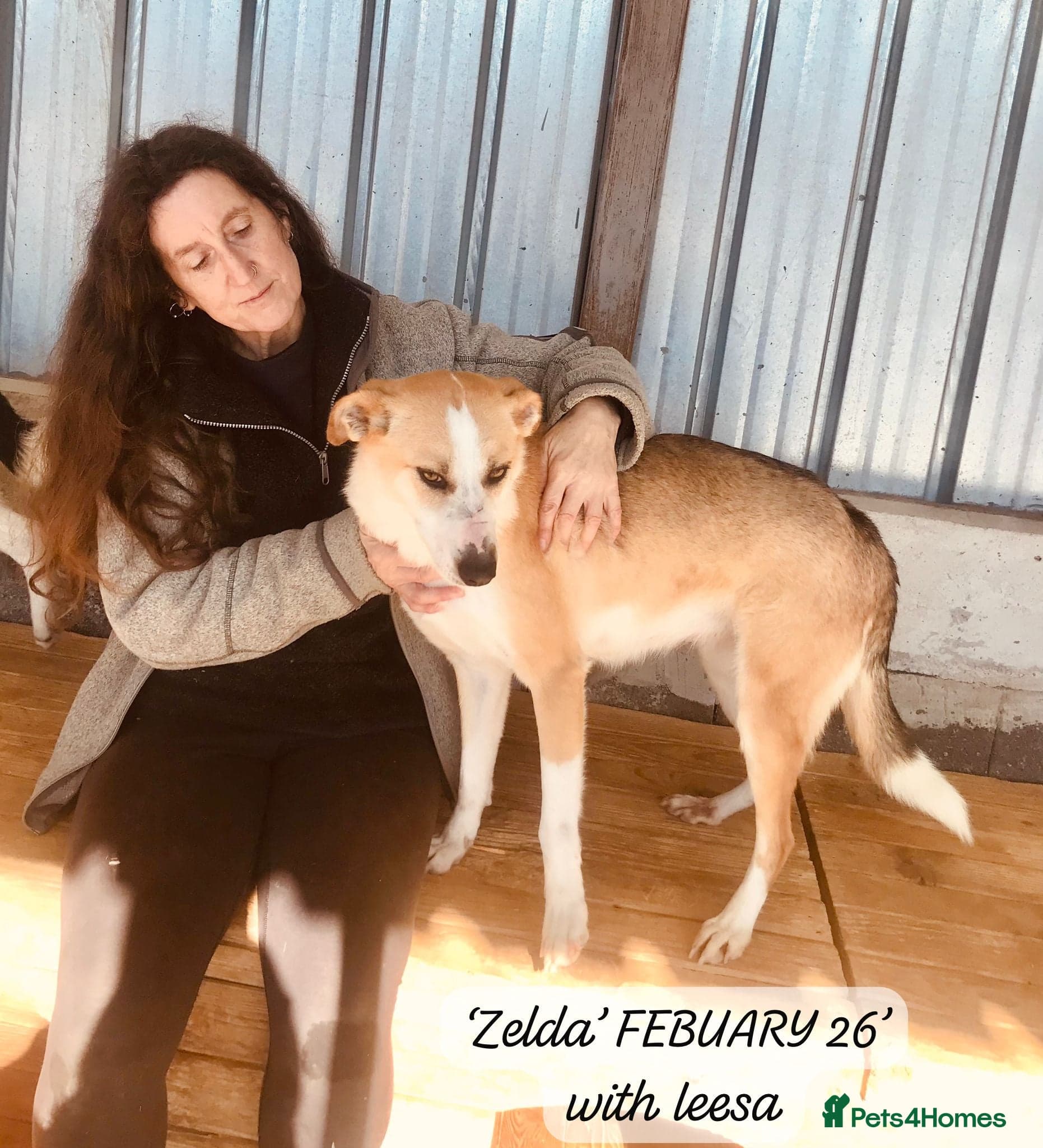 Zelda, 3 yrs old approx. photo 18