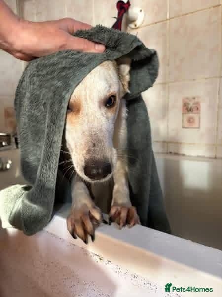 Trinity - Norwich Norfolk photo 7