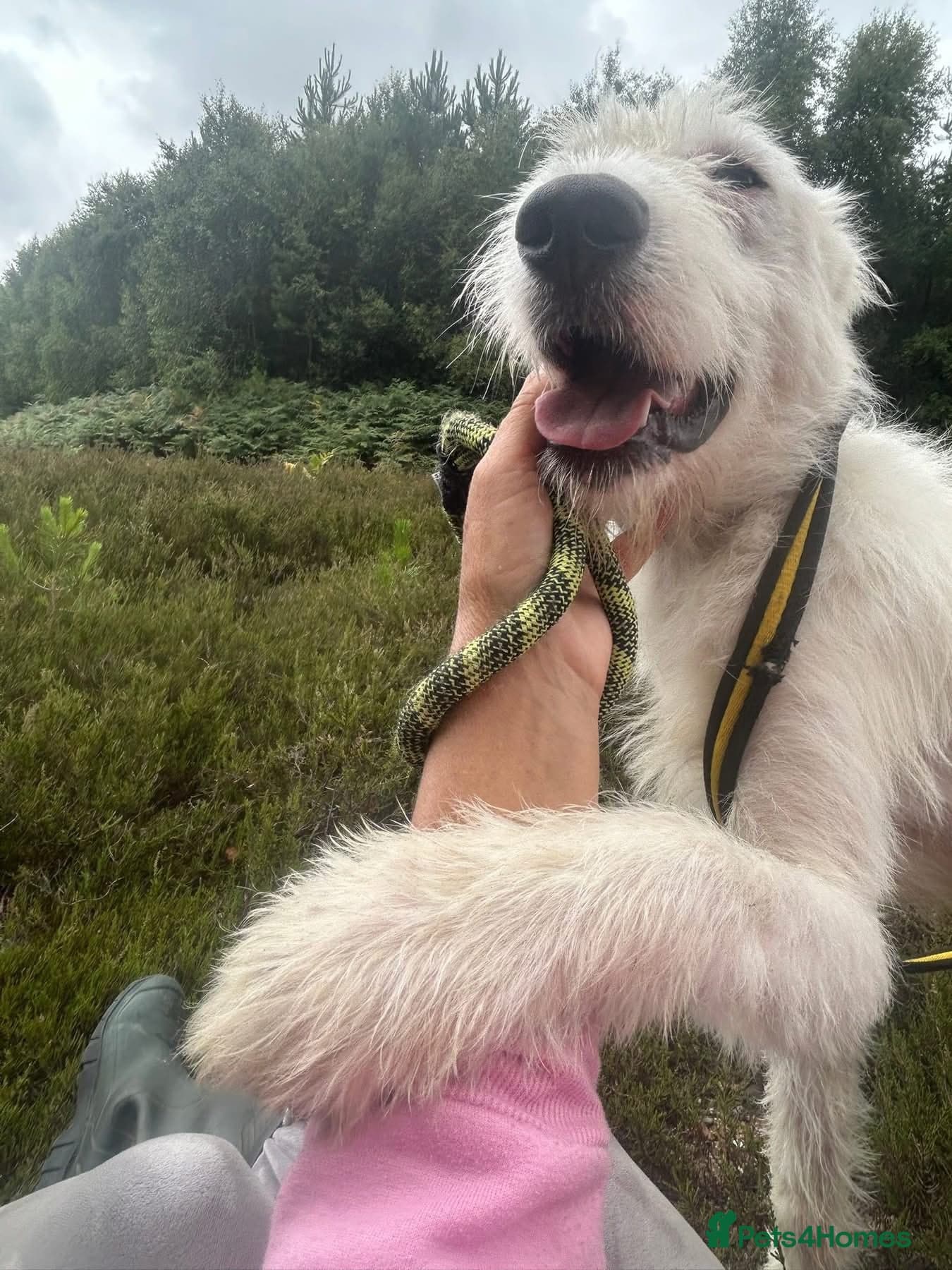 Peter - Norwich Norfolk photo 3