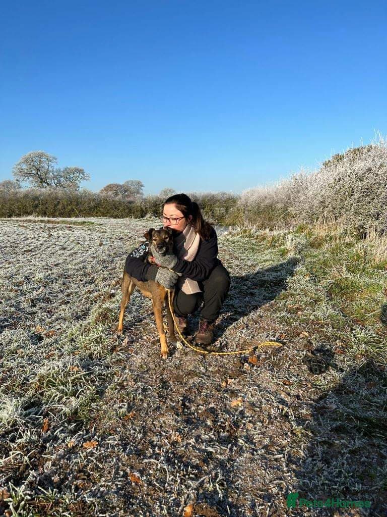 Meet Jake, currently residing in Cheshire photo 9