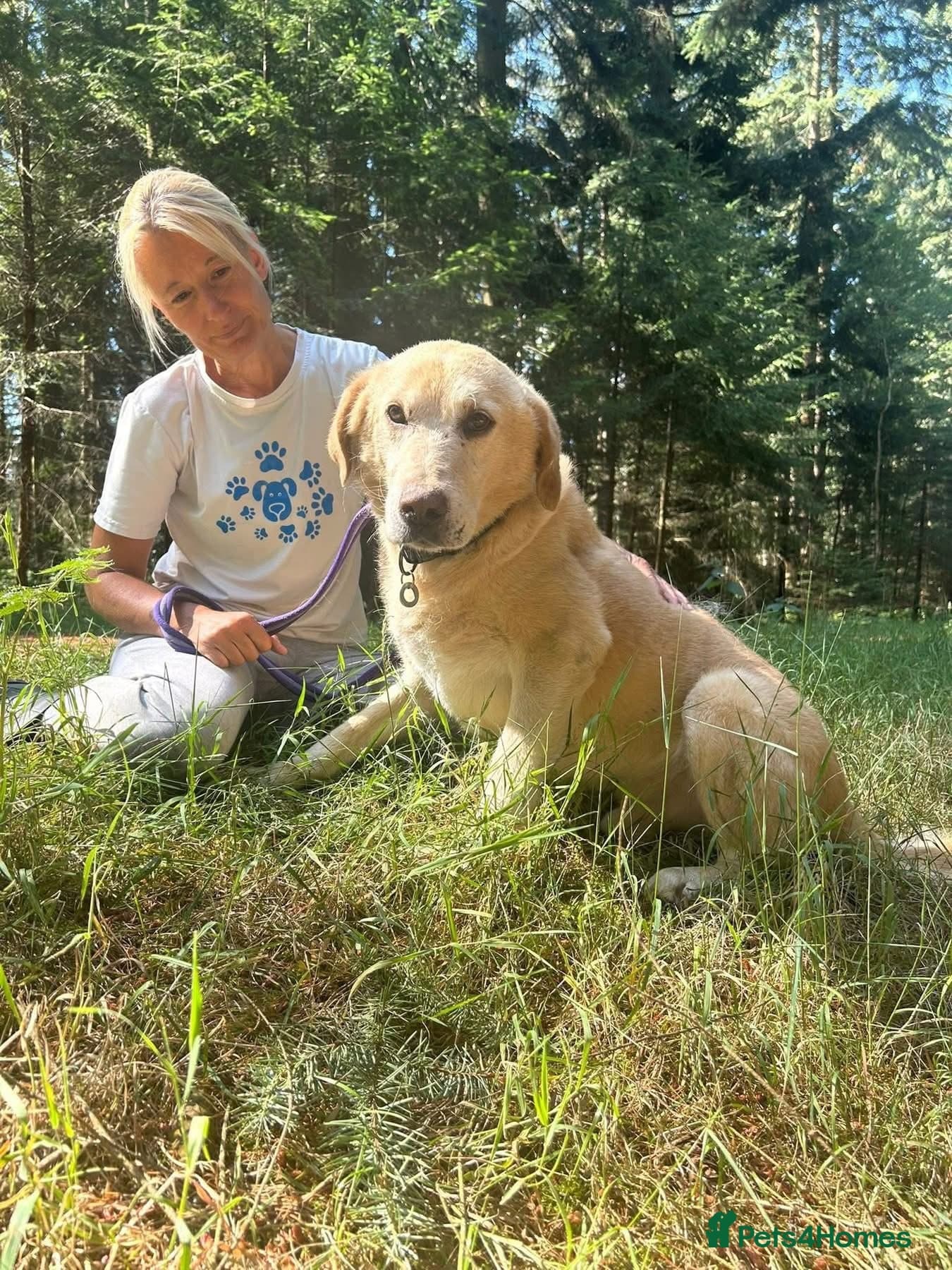 Rupert - Norwich Norfolk photo 19