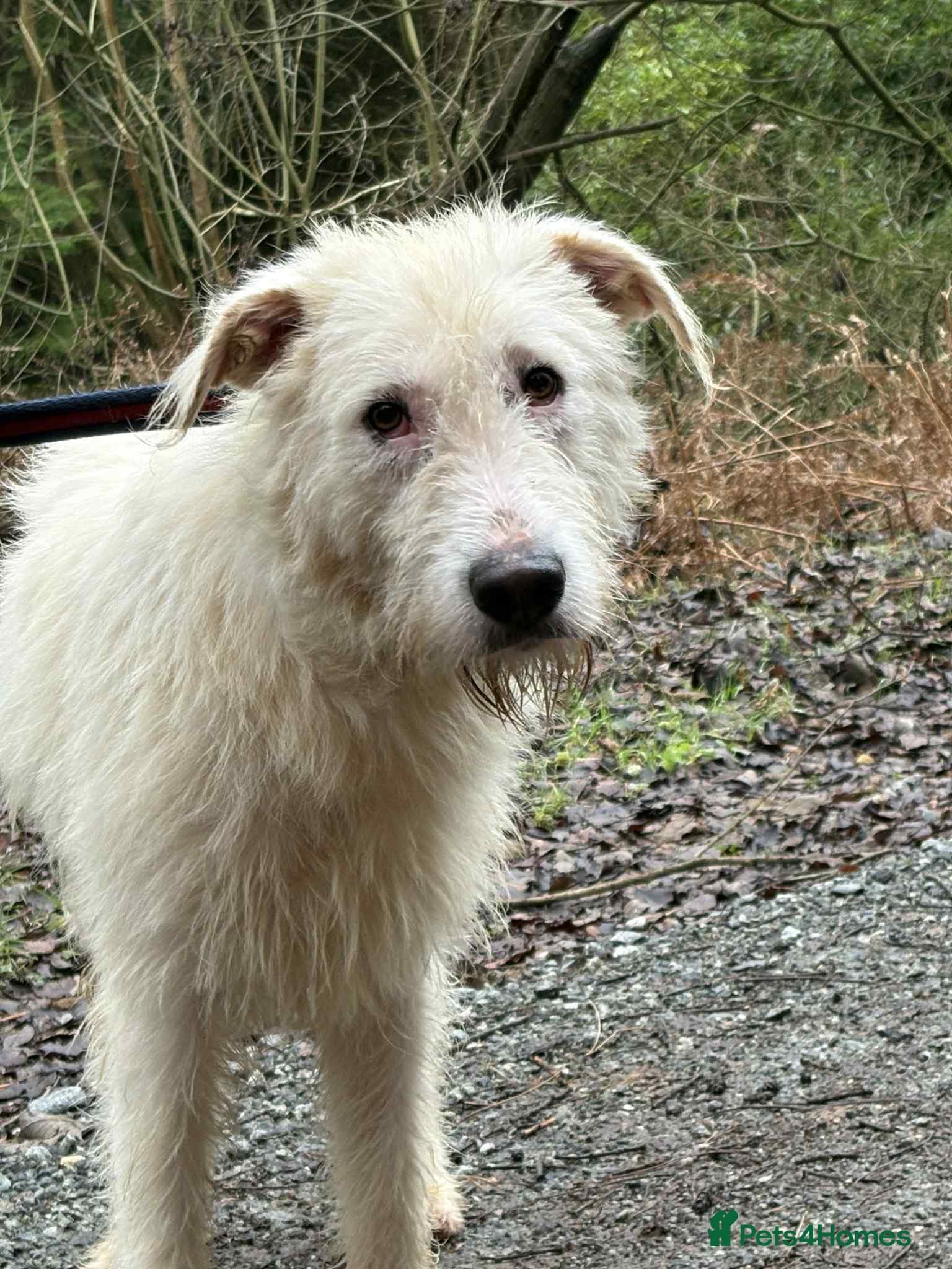 Peter - Norwich Norfolk photo 22