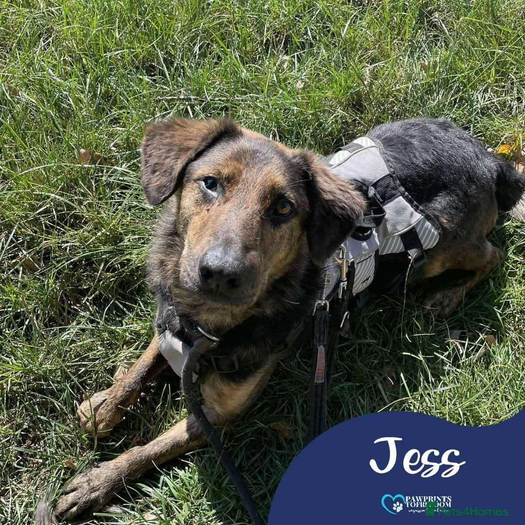 Meet Jess, currently residing in Essex photo 2