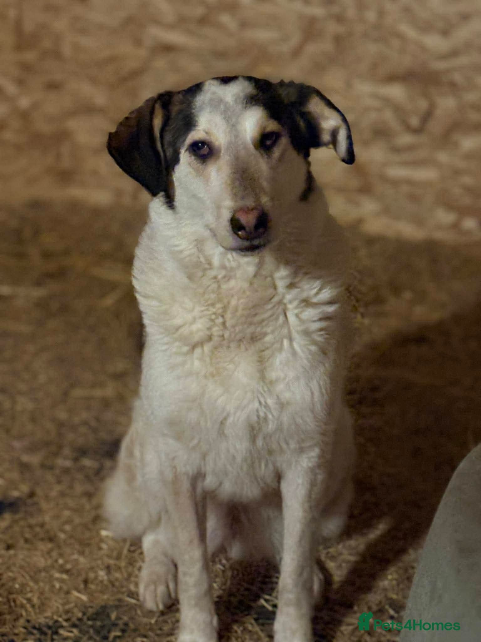 Meet Demi, currently residing in Essex photo 7