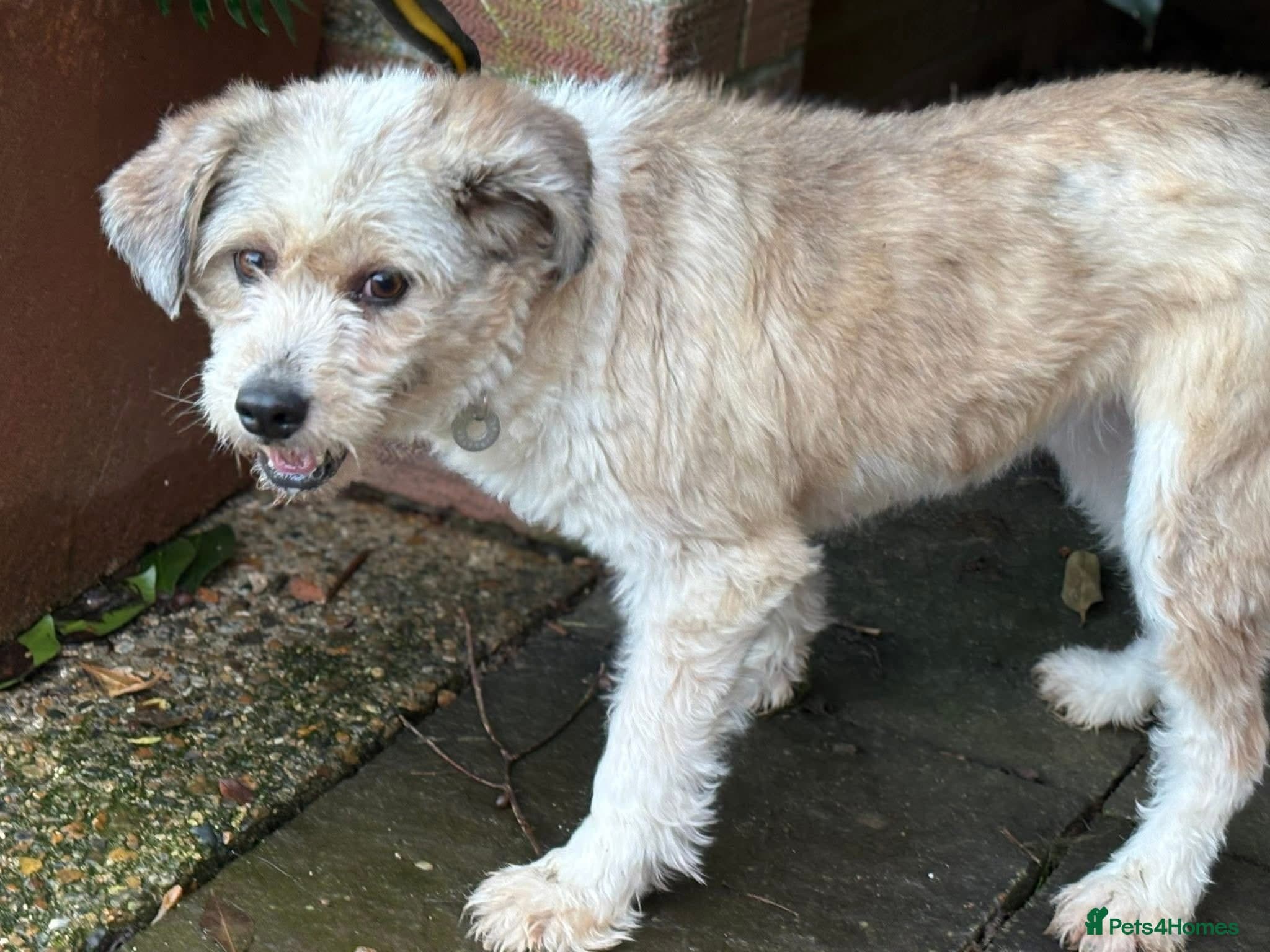 Kim - Norwich Norfolk photo 7