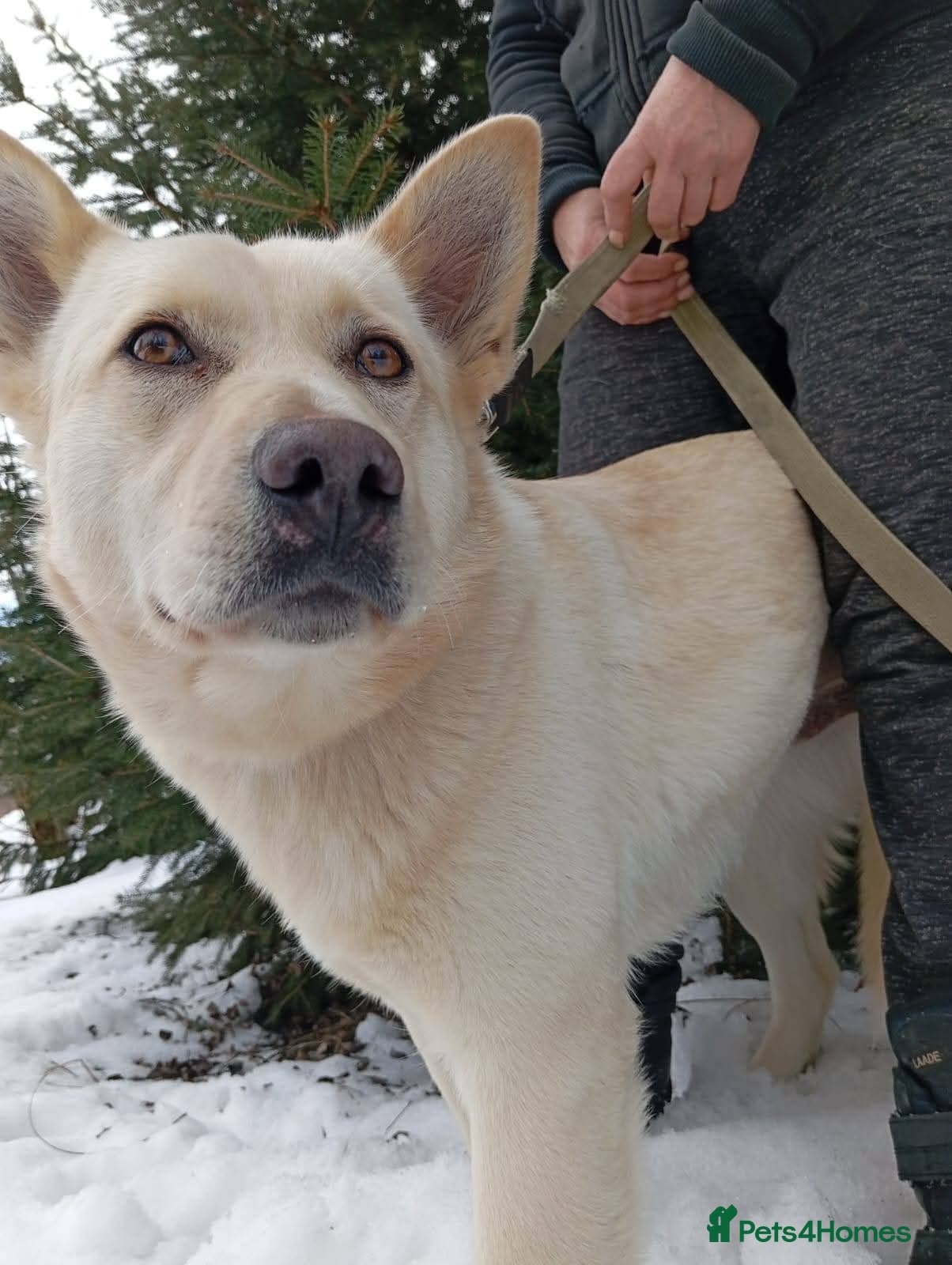 οΈπΆ milady photo 7