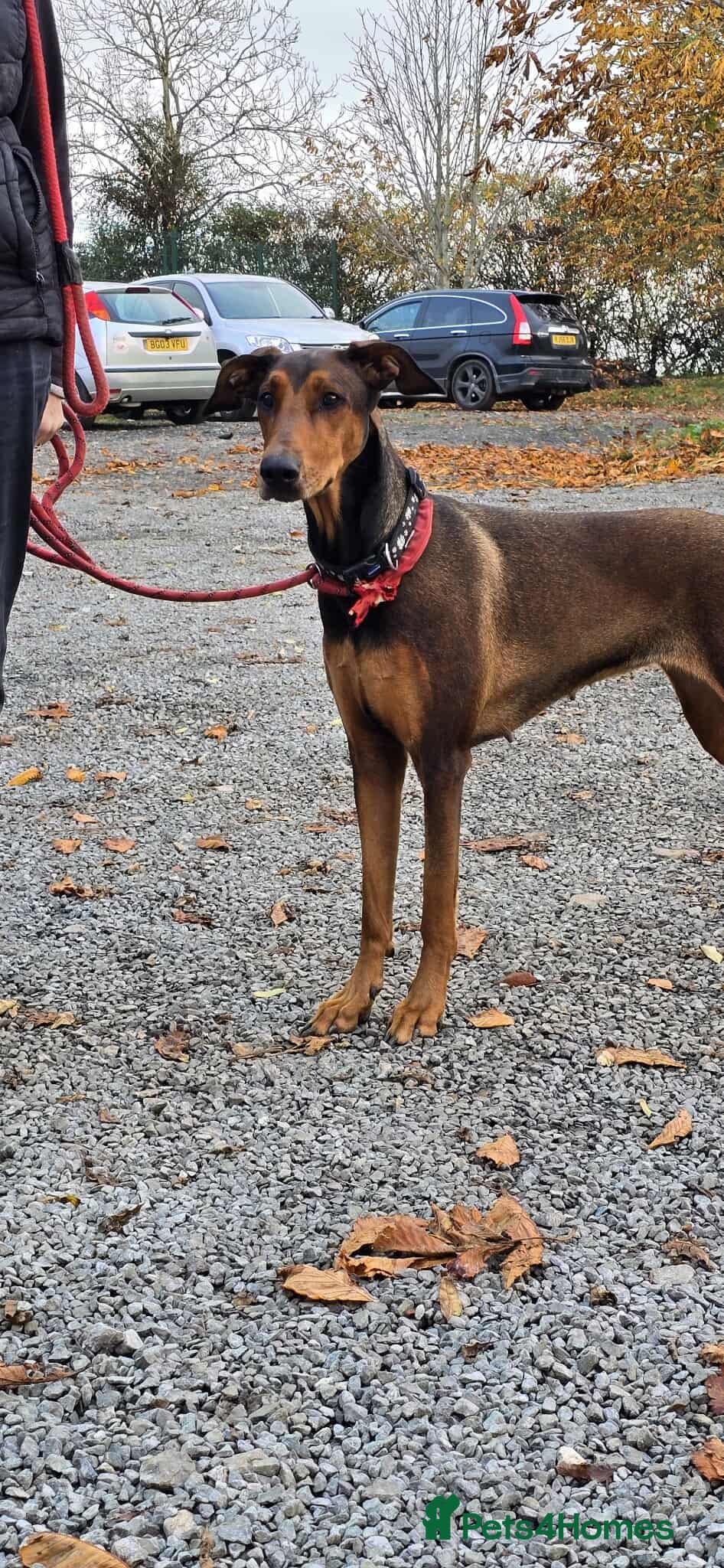 BONNIE π Playful, Loving Girl photo 13