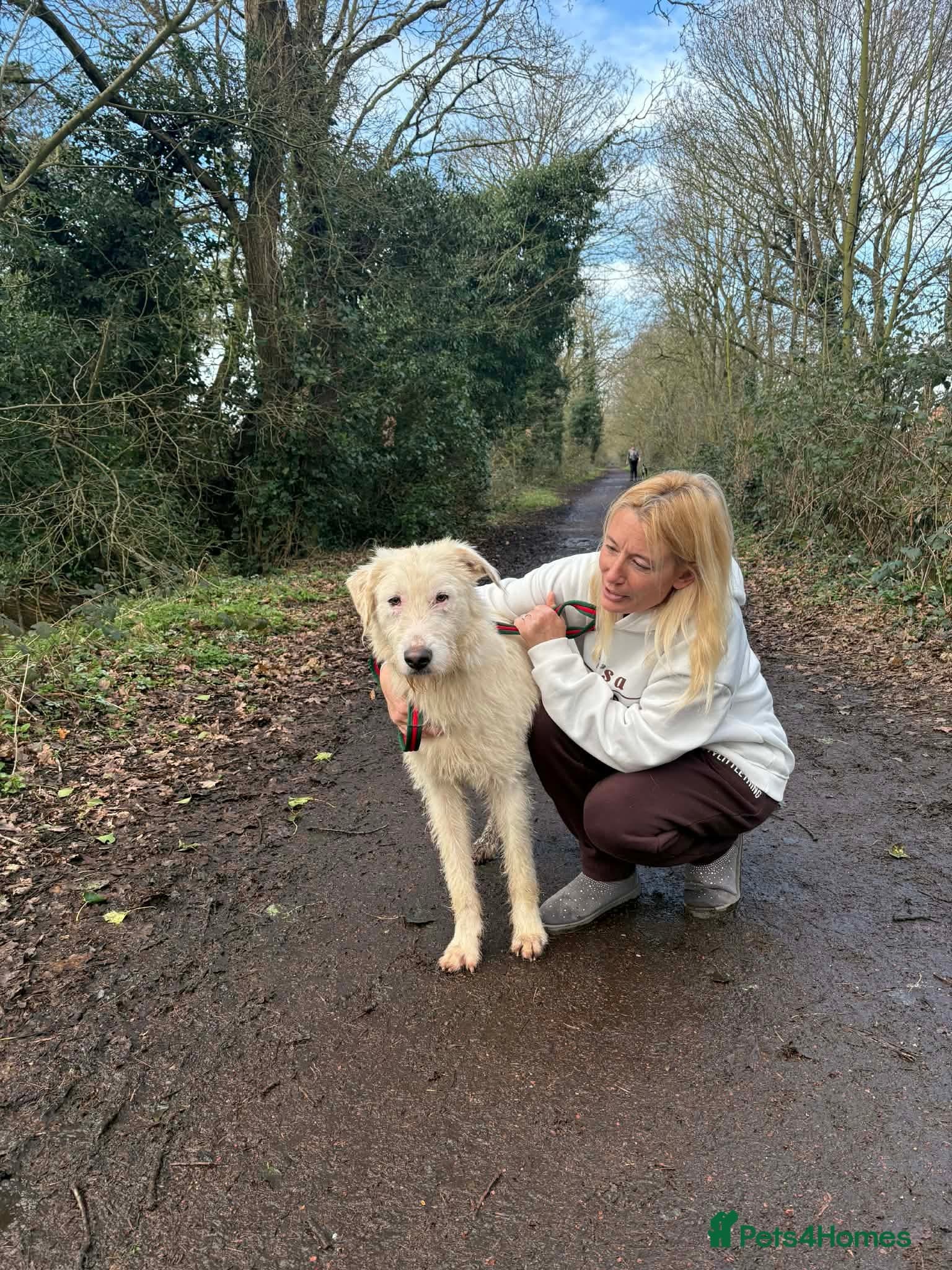 Peter - Norwich Norfolk photo 7