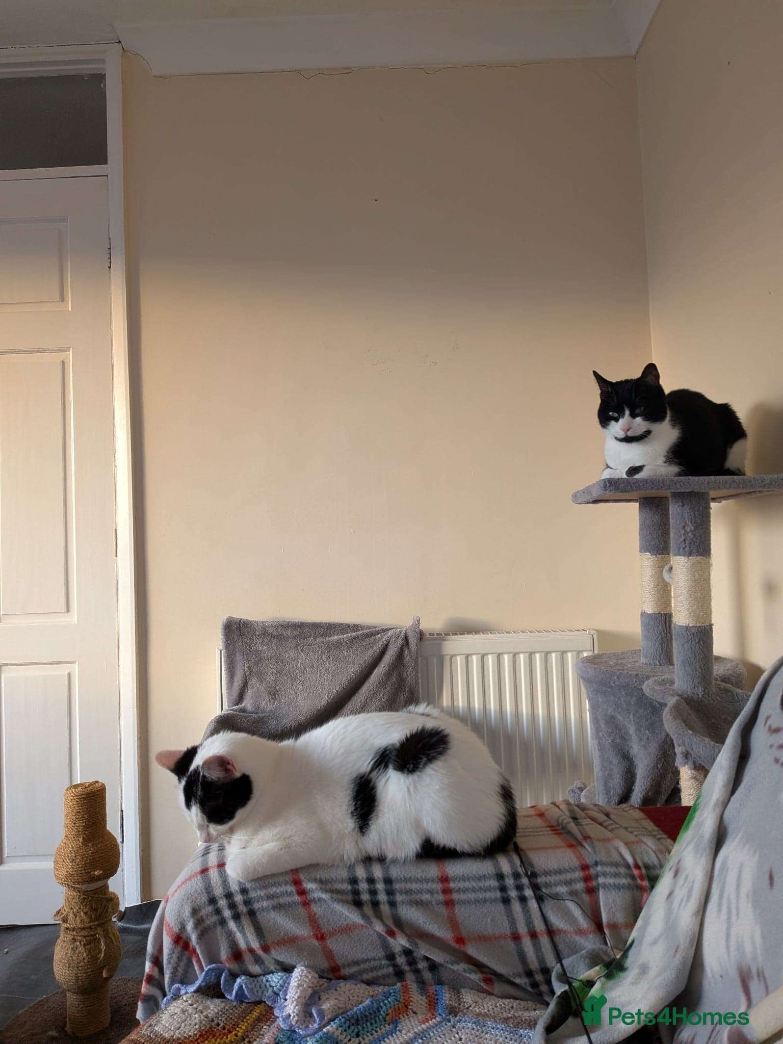 Rosie and Jim photo 7