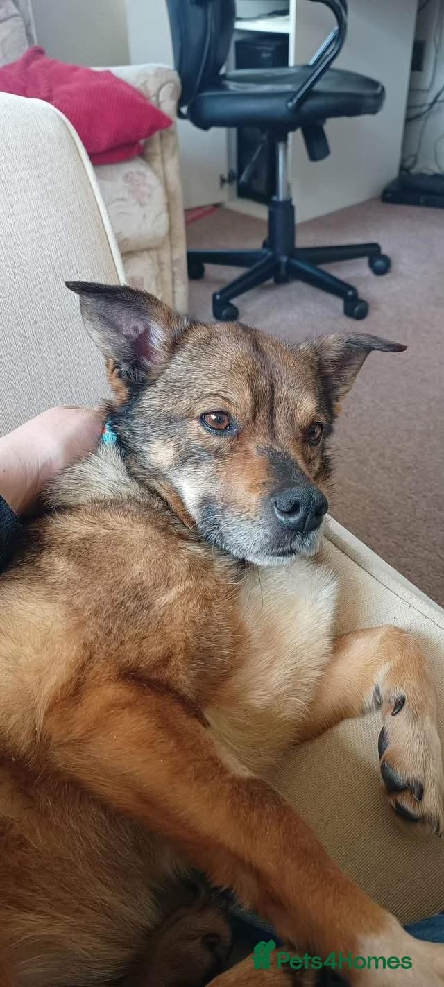 Erica - Norwich Norfolk photo 9