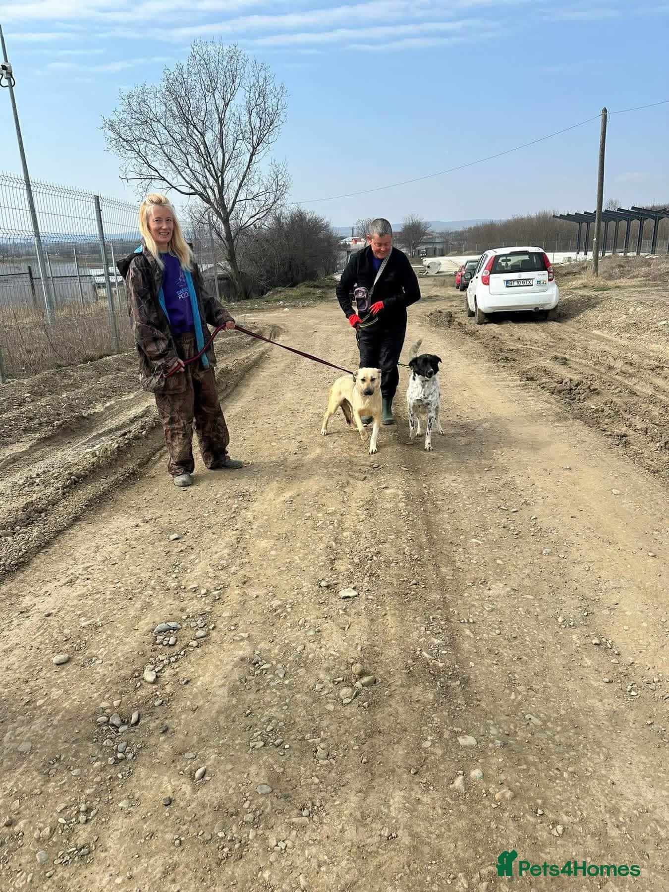 Octavia - Norwich Norfolk photo 10