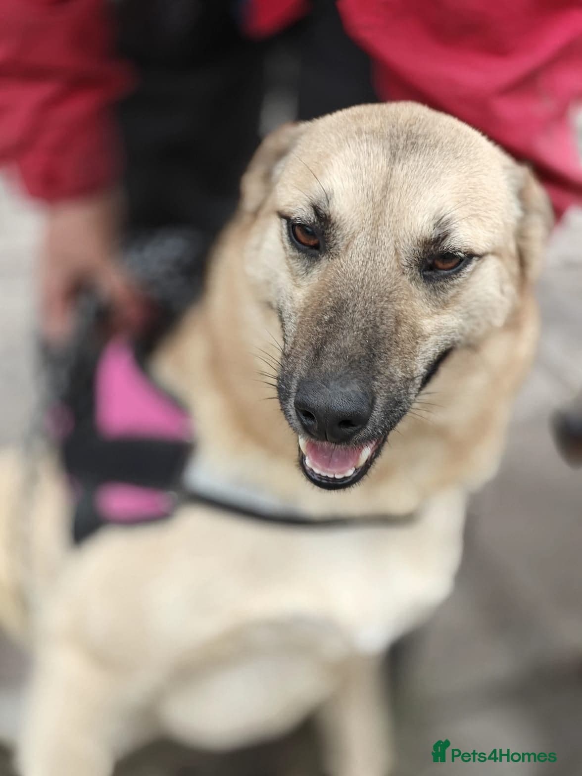 ๏ธ๐ถ stacy photo 5