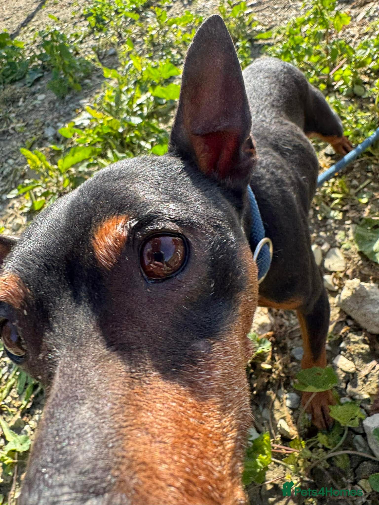 Benetton, a cuddlebug photo 10