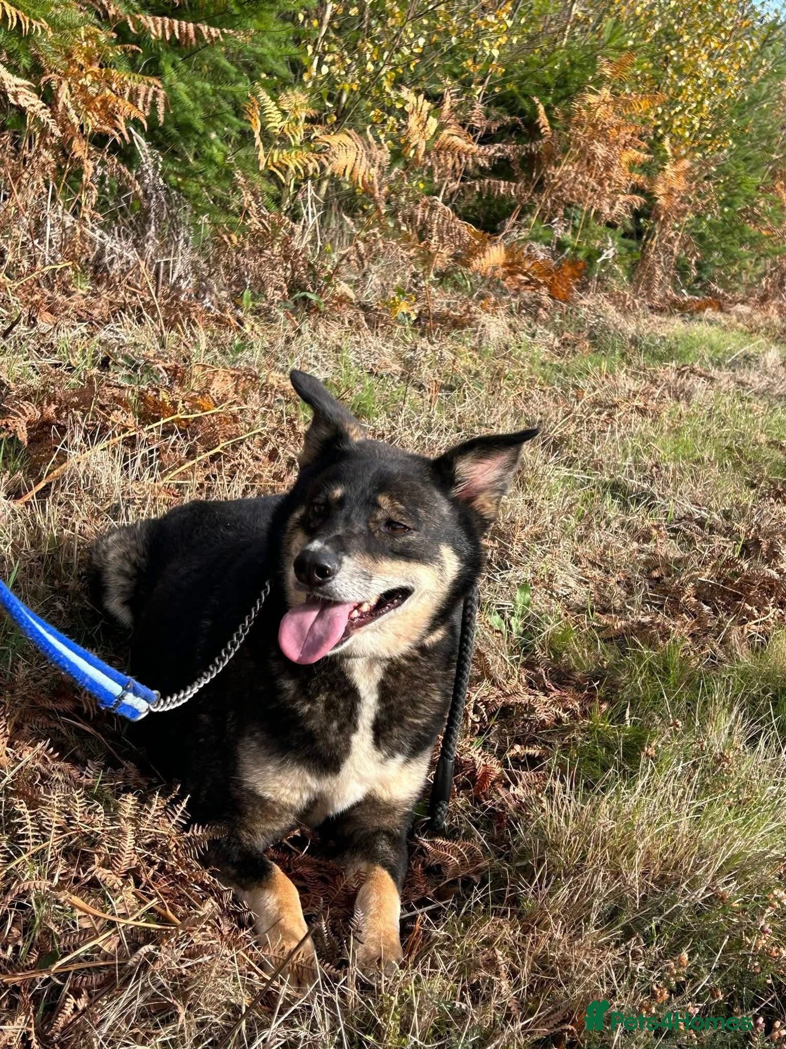 Ben - Norwich Norfolk photo 8