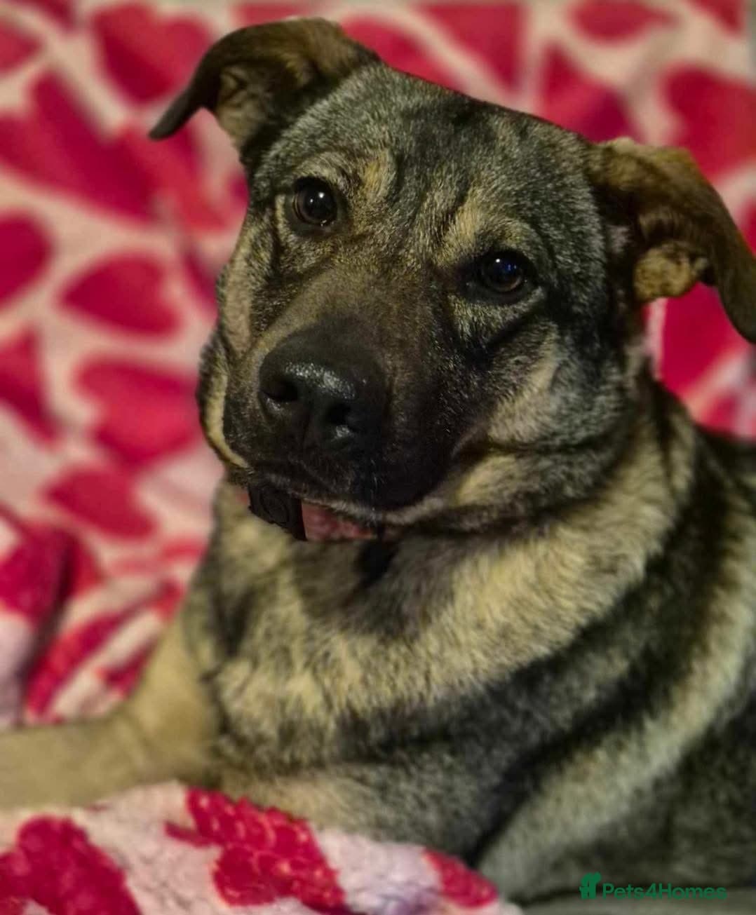 Luna πΎπ photo 24