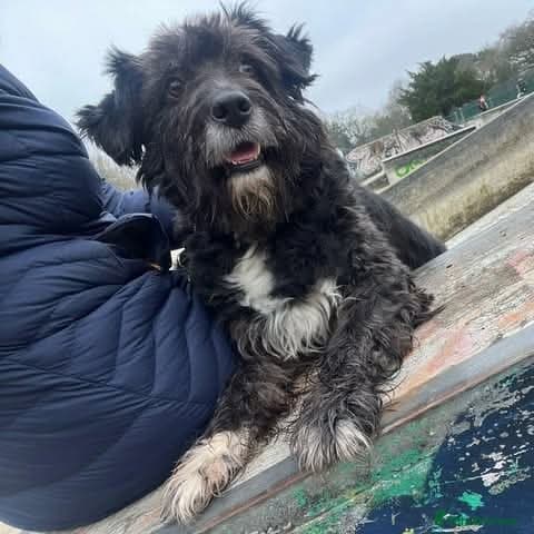 Meet Livi, currently residing in Cheshire photo 3