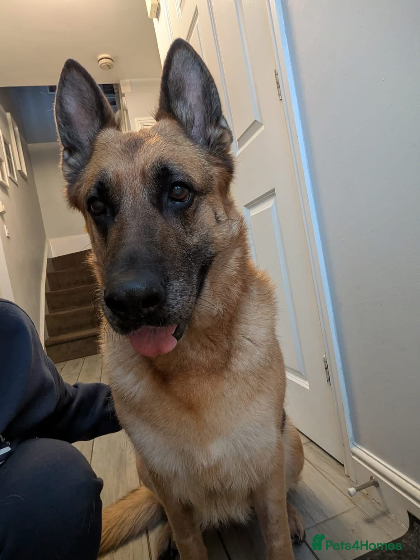 Amy - Norwich Norfolk photo 2