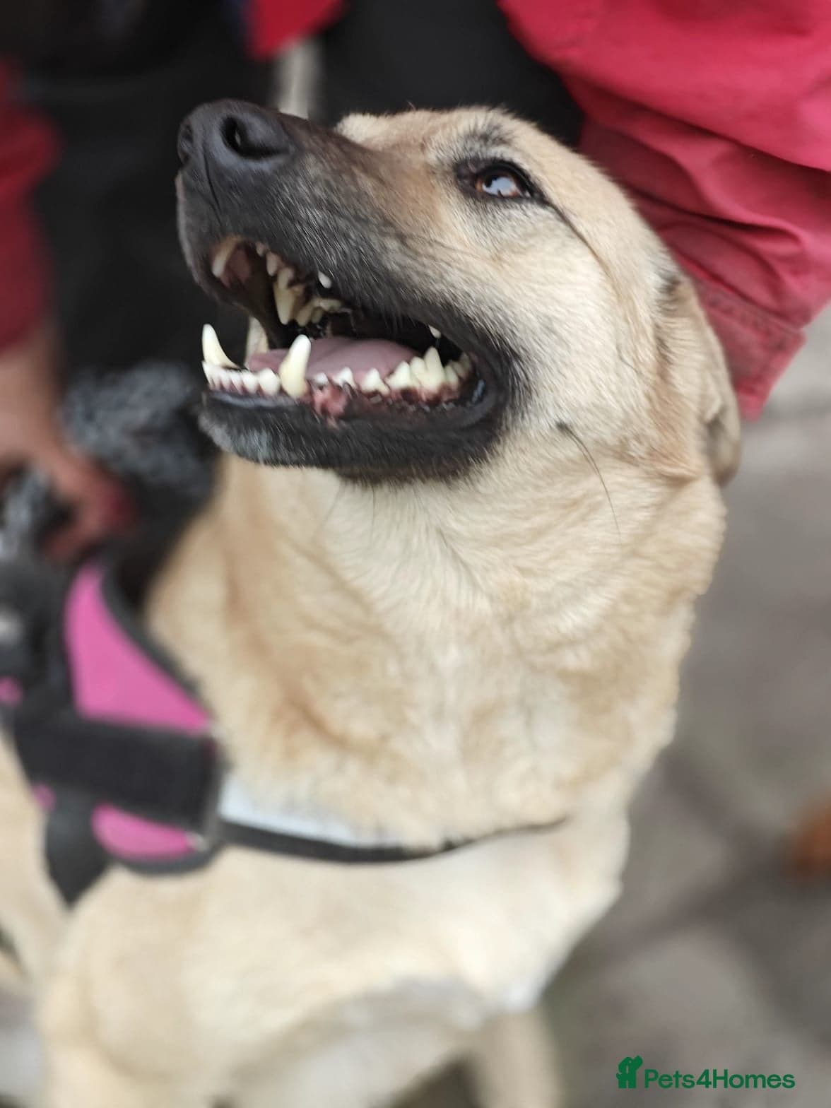 ๏ธ๐ถ stacy photo 4