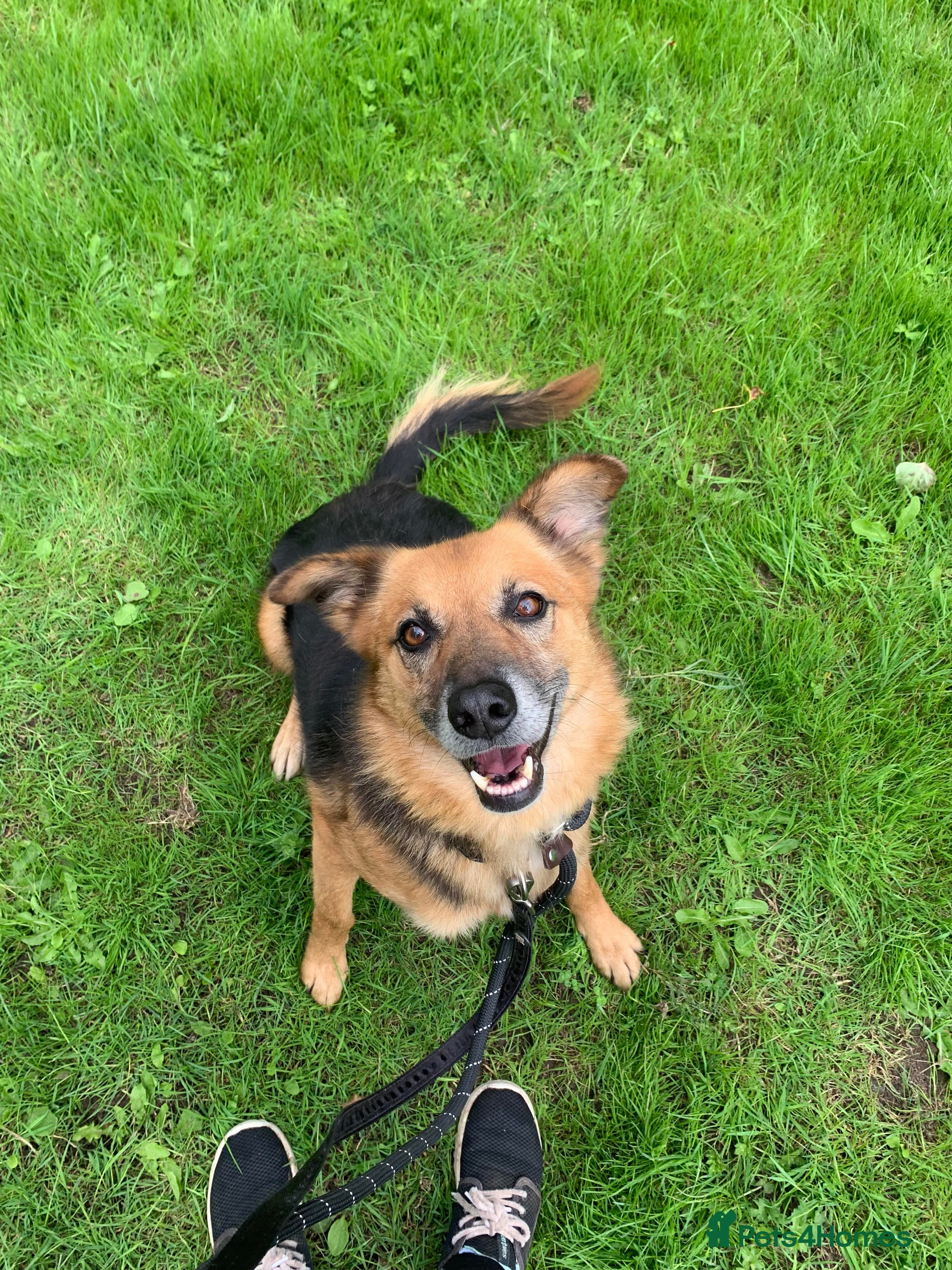 Meet Star, currently residing in Cheshire photo 7